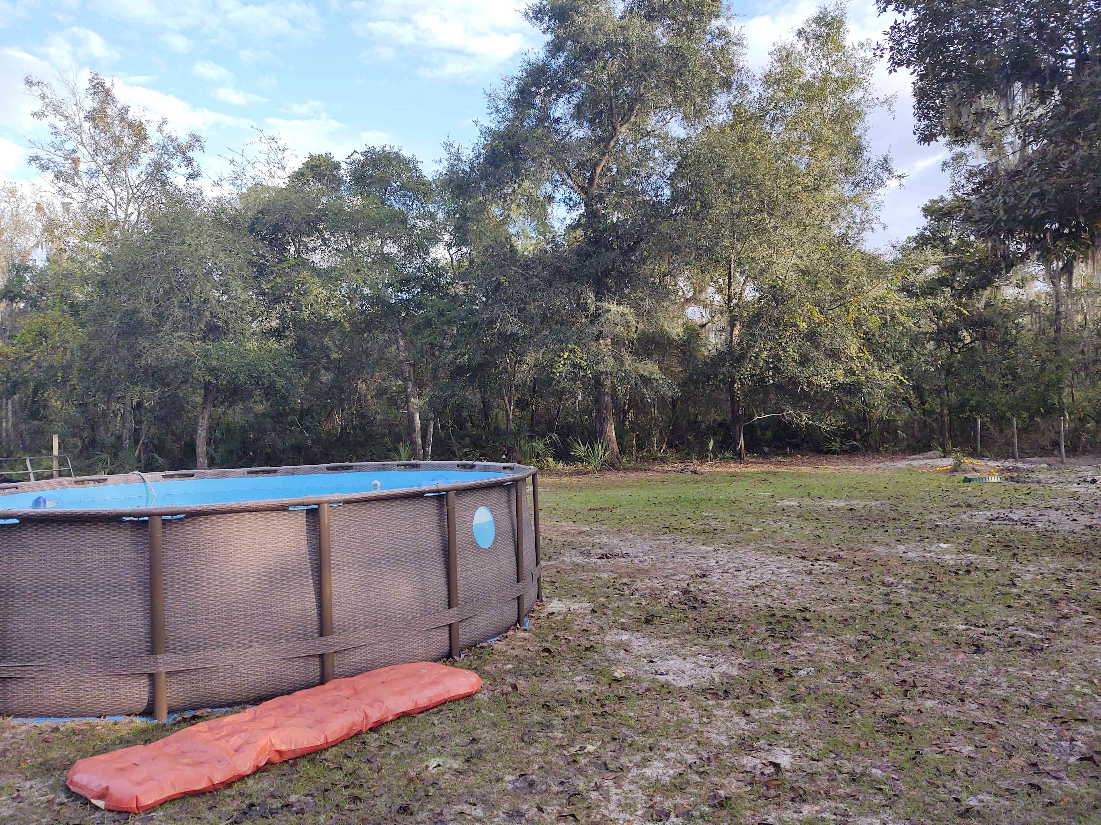 Animal farm, Ocala National Forest