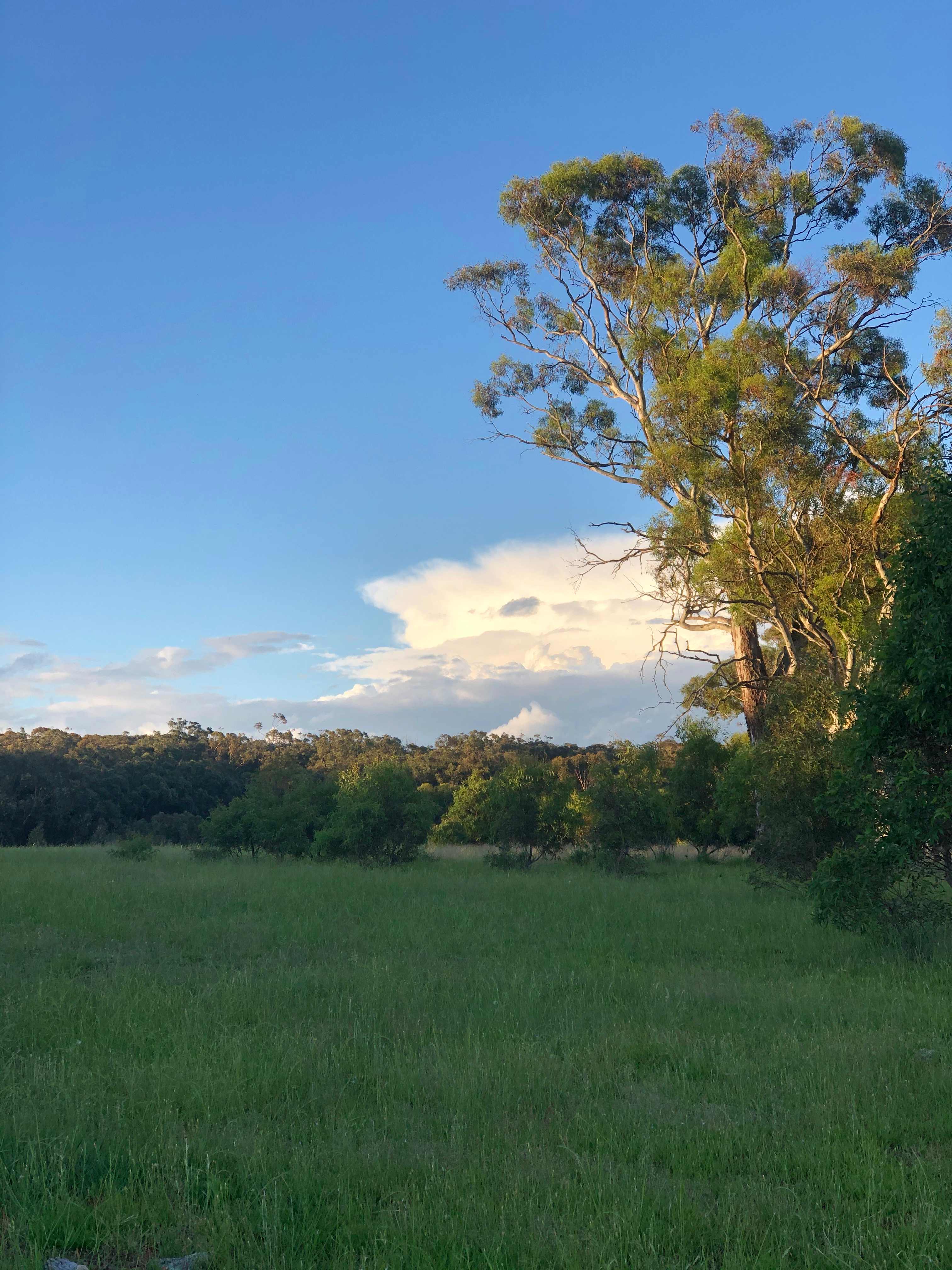 Rural Views