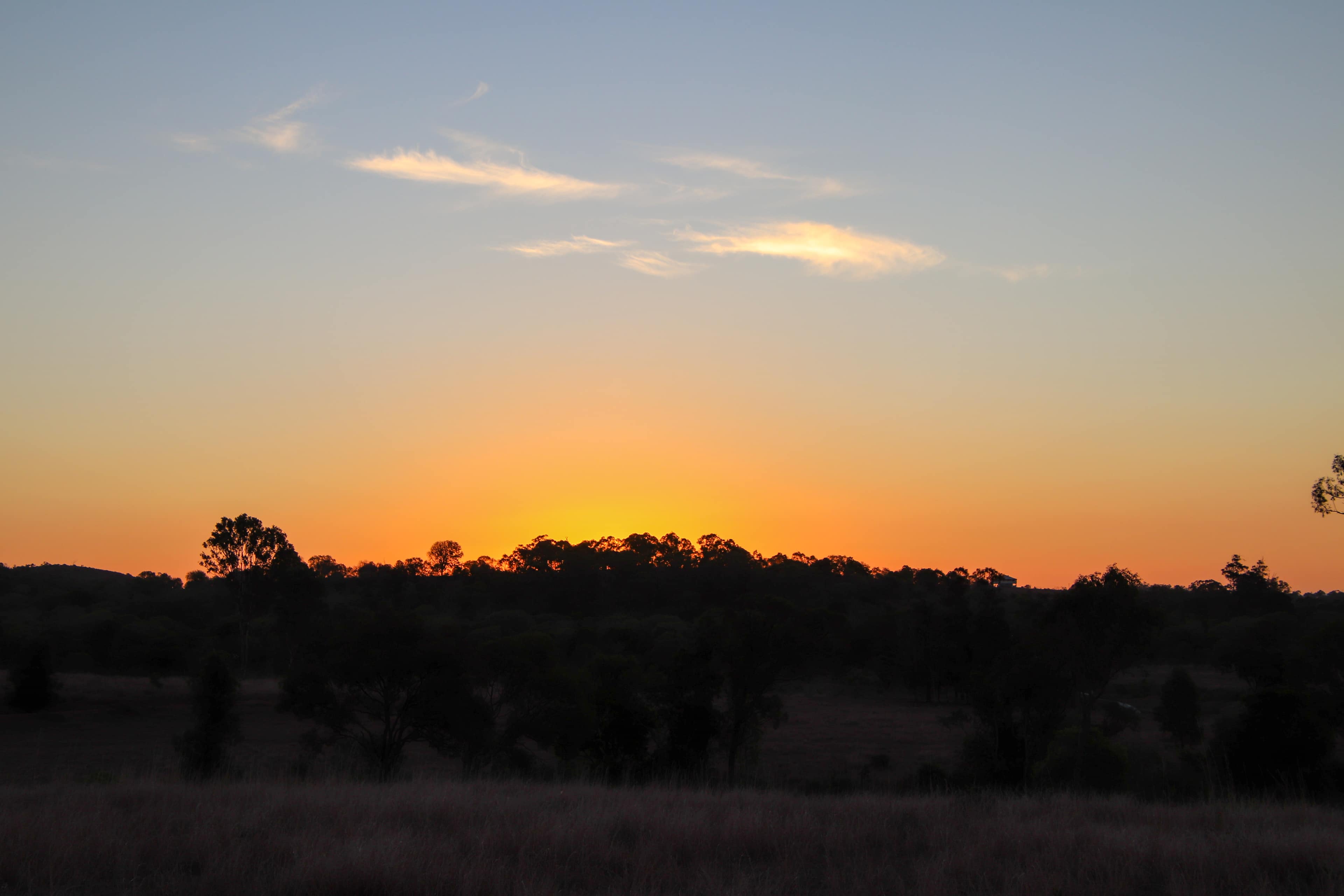 Casuarina Park