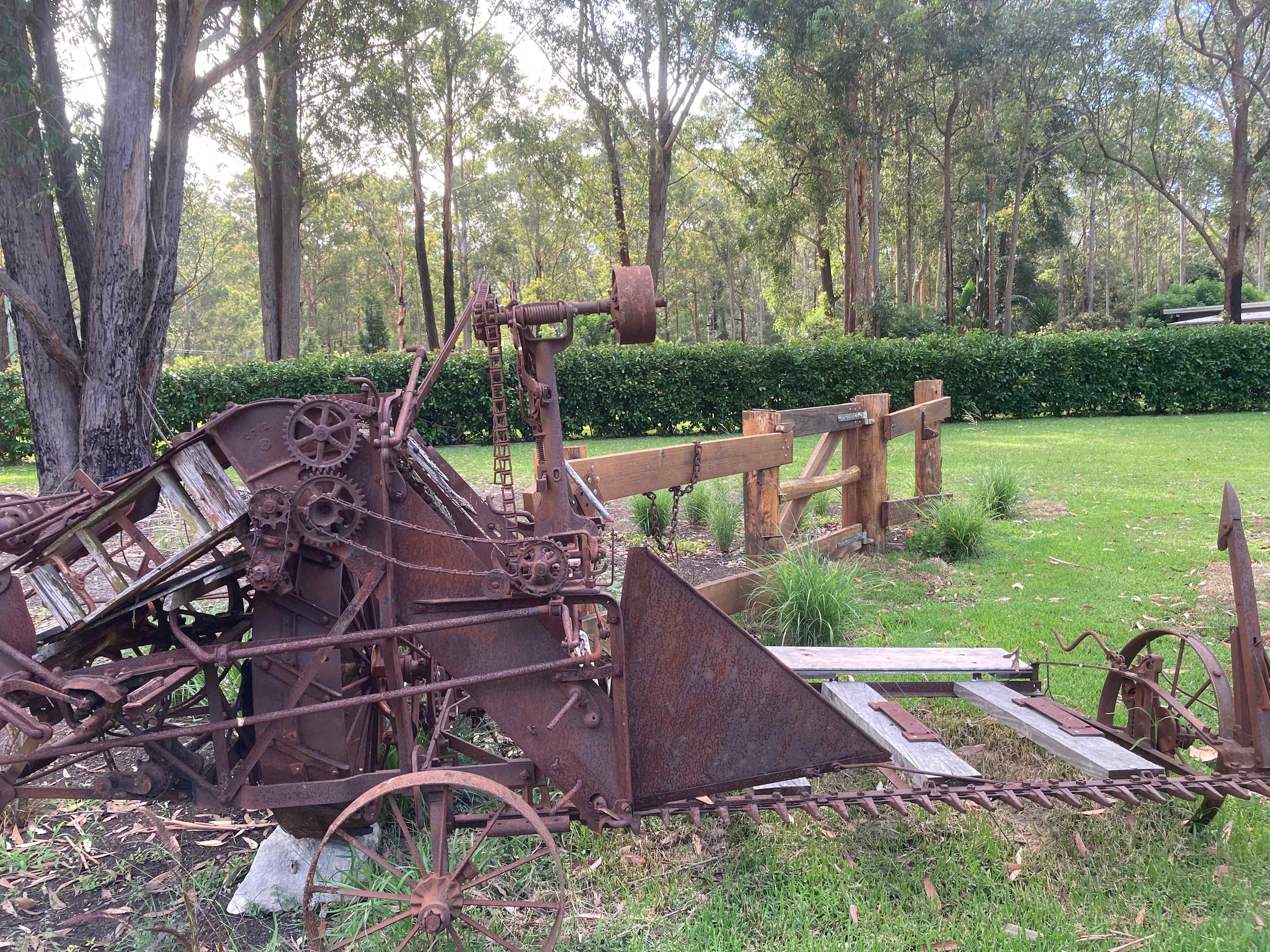 Mistinthegumtrees BUDGET 2 GLAMPING