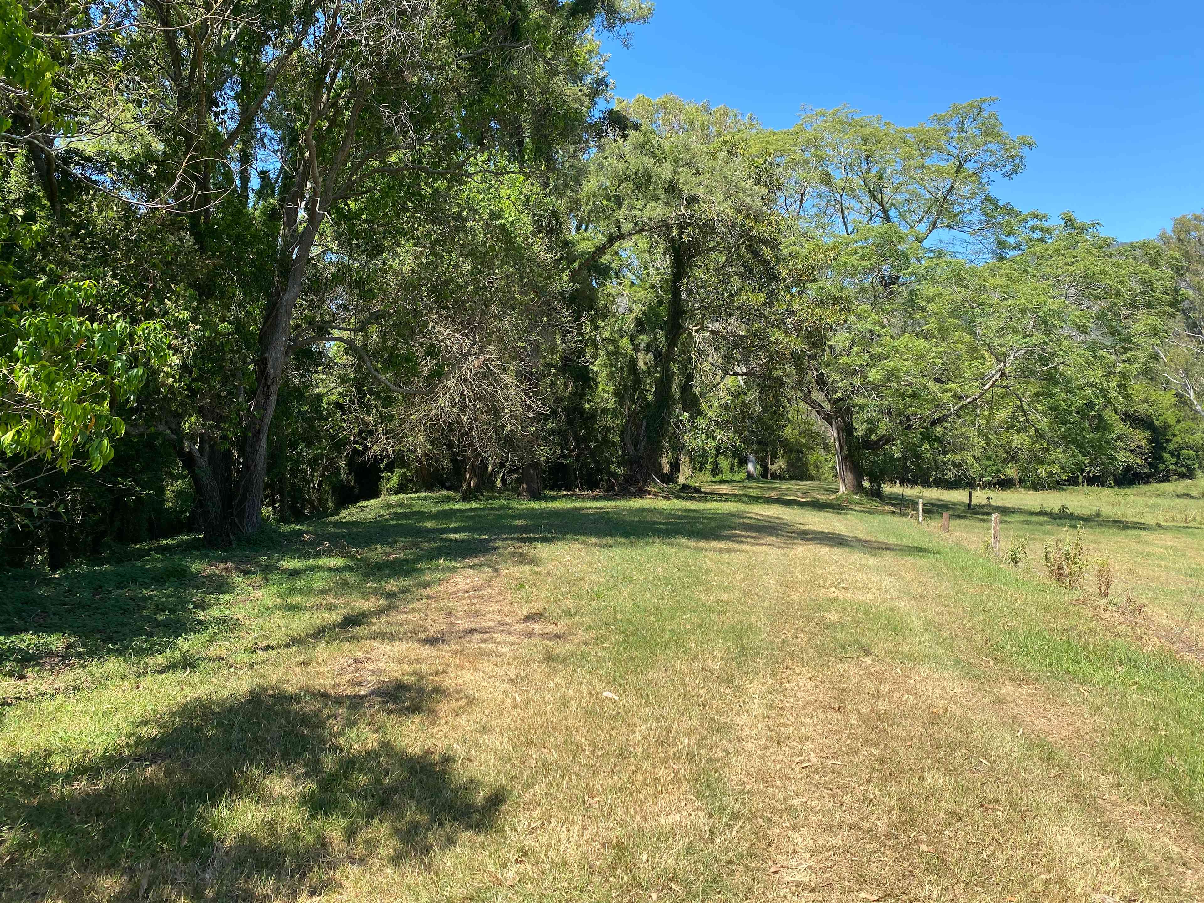Open areas