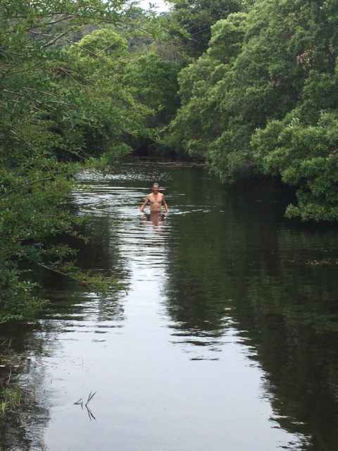 Shallow but gets deeper the further up or down the river you go, all fresh water! 