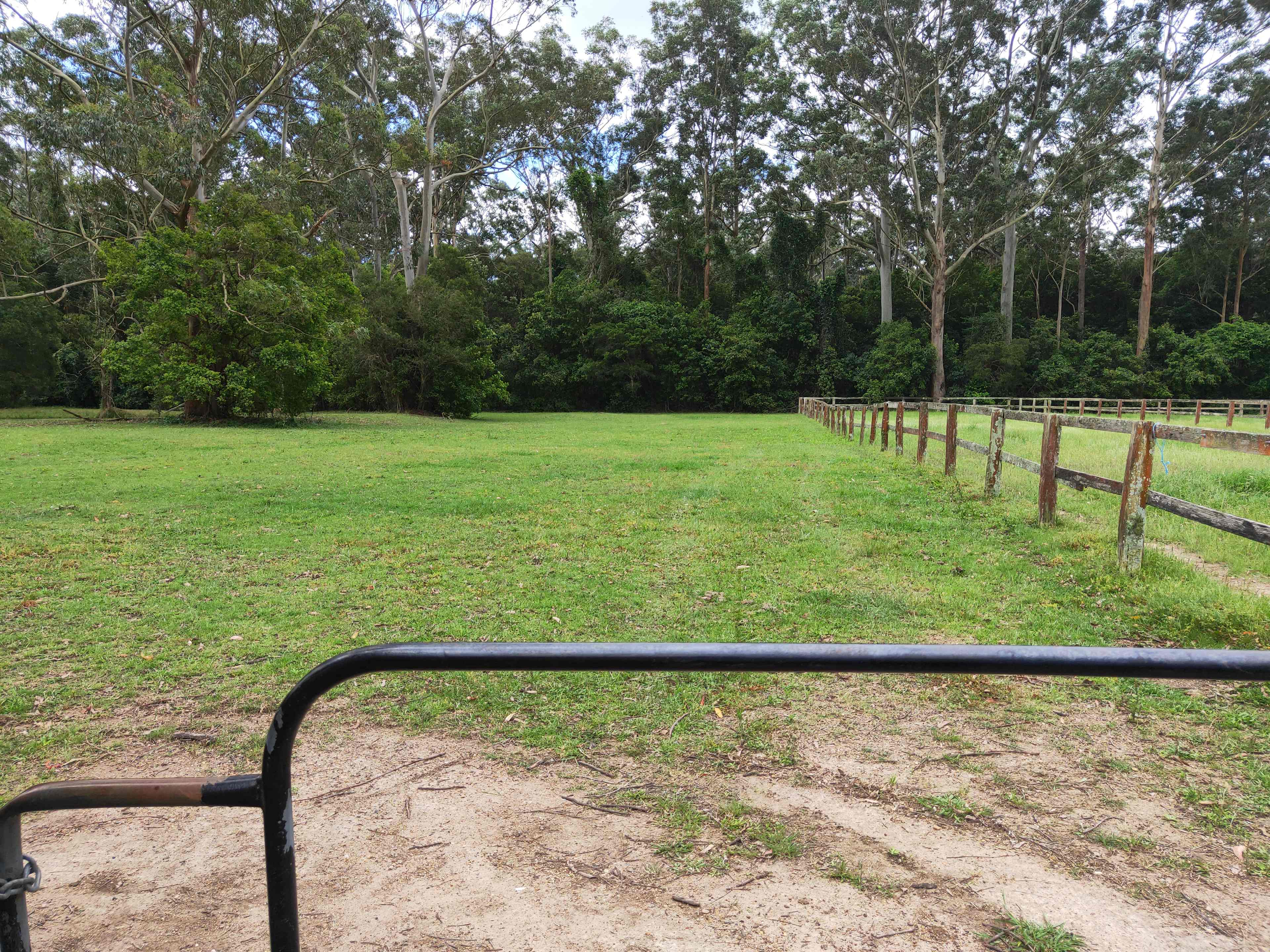 Bella Park - Camp and Horse Stay
