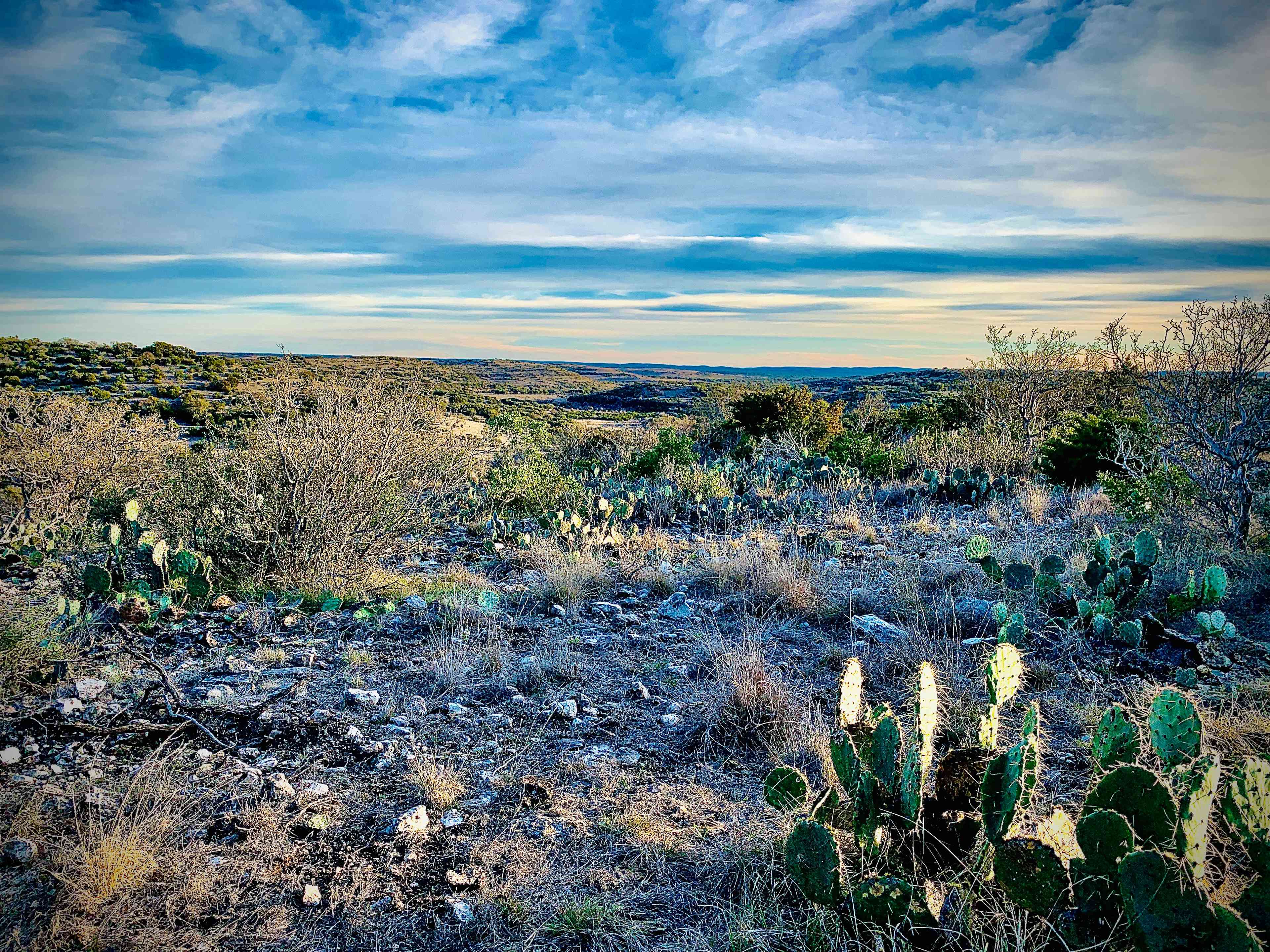 Star Gazer's Primitive Camping Site