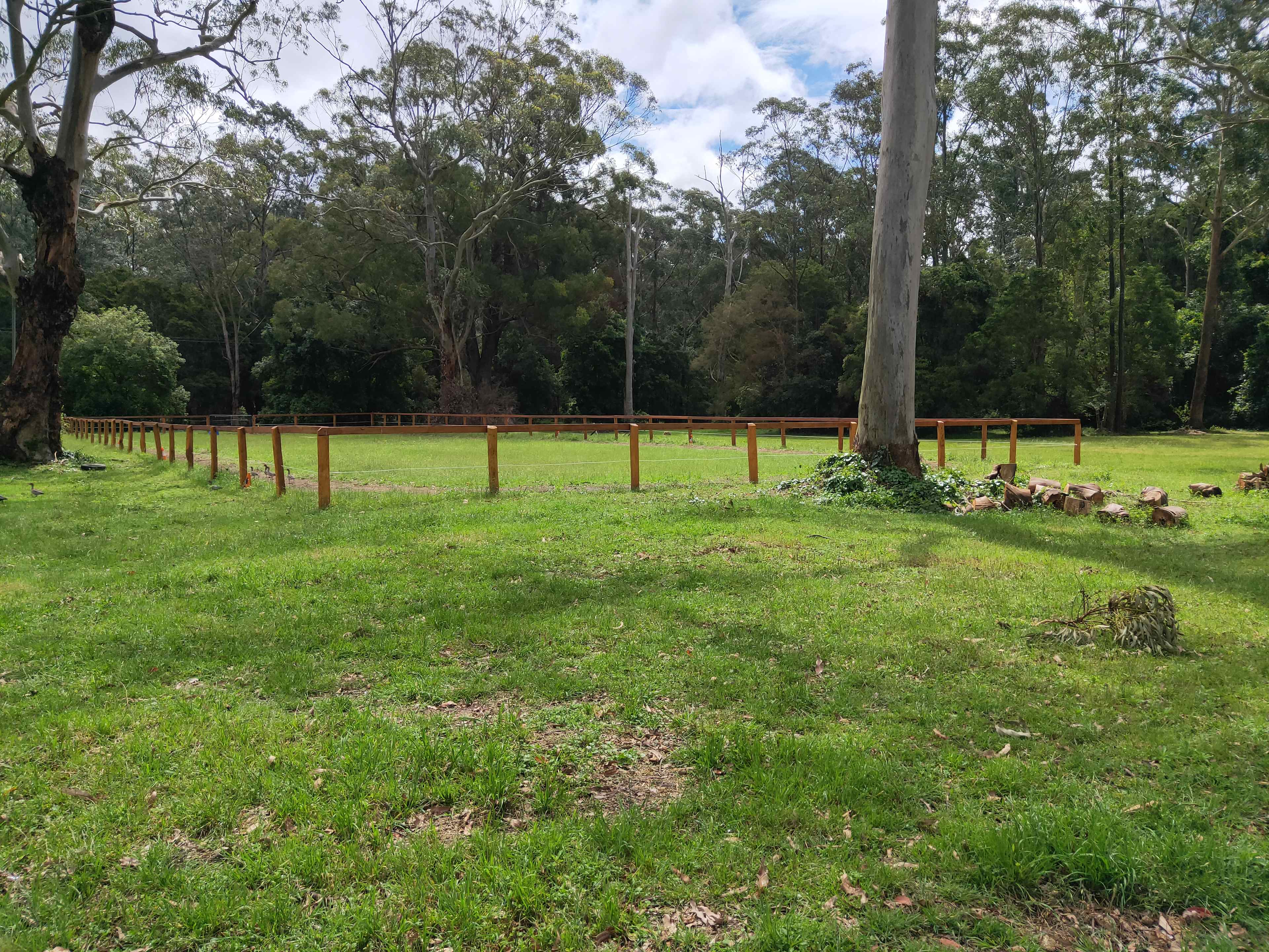 Bella Park - Camp and Horse Stay