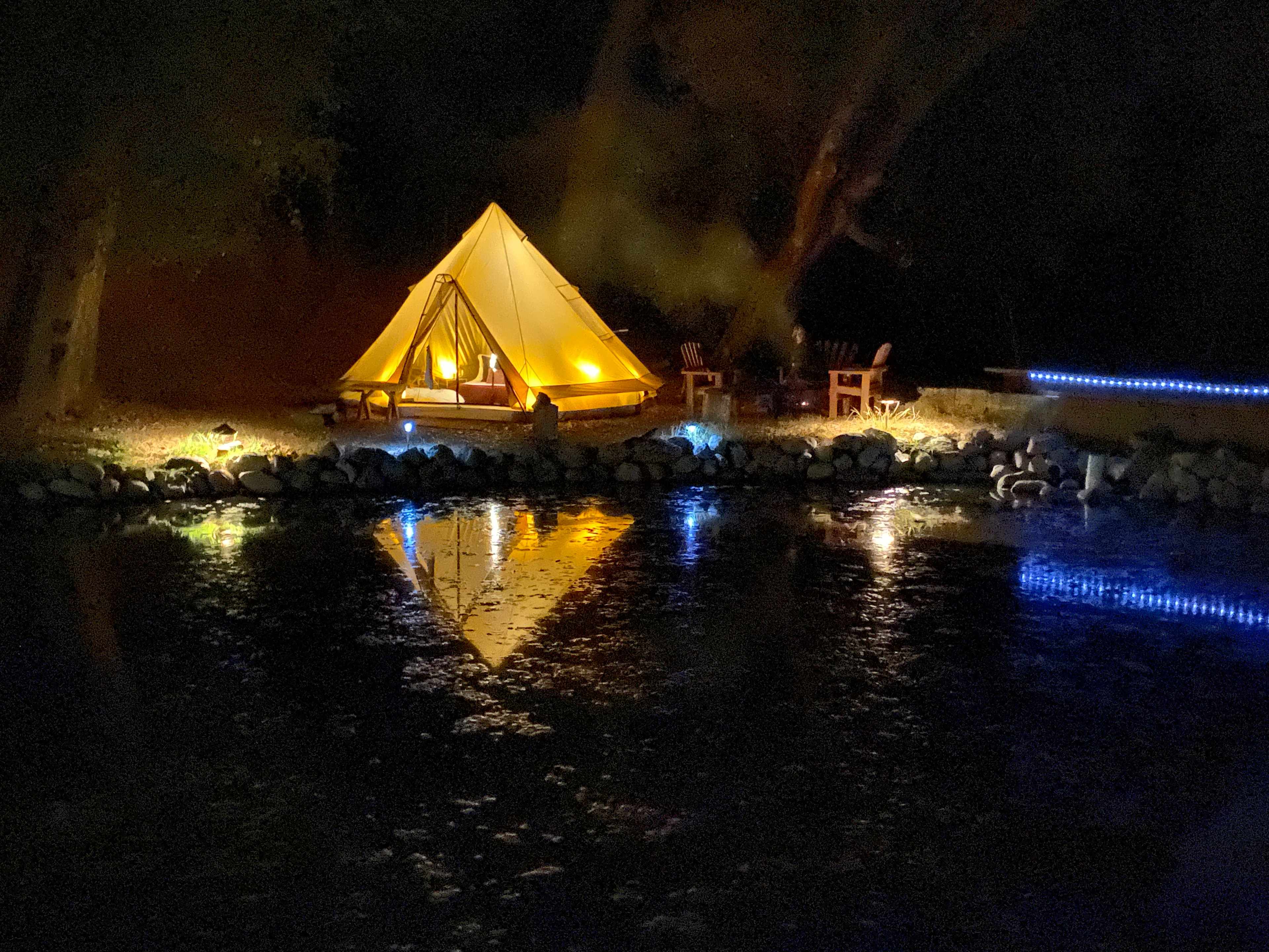 Temecula Bullfrog Pond