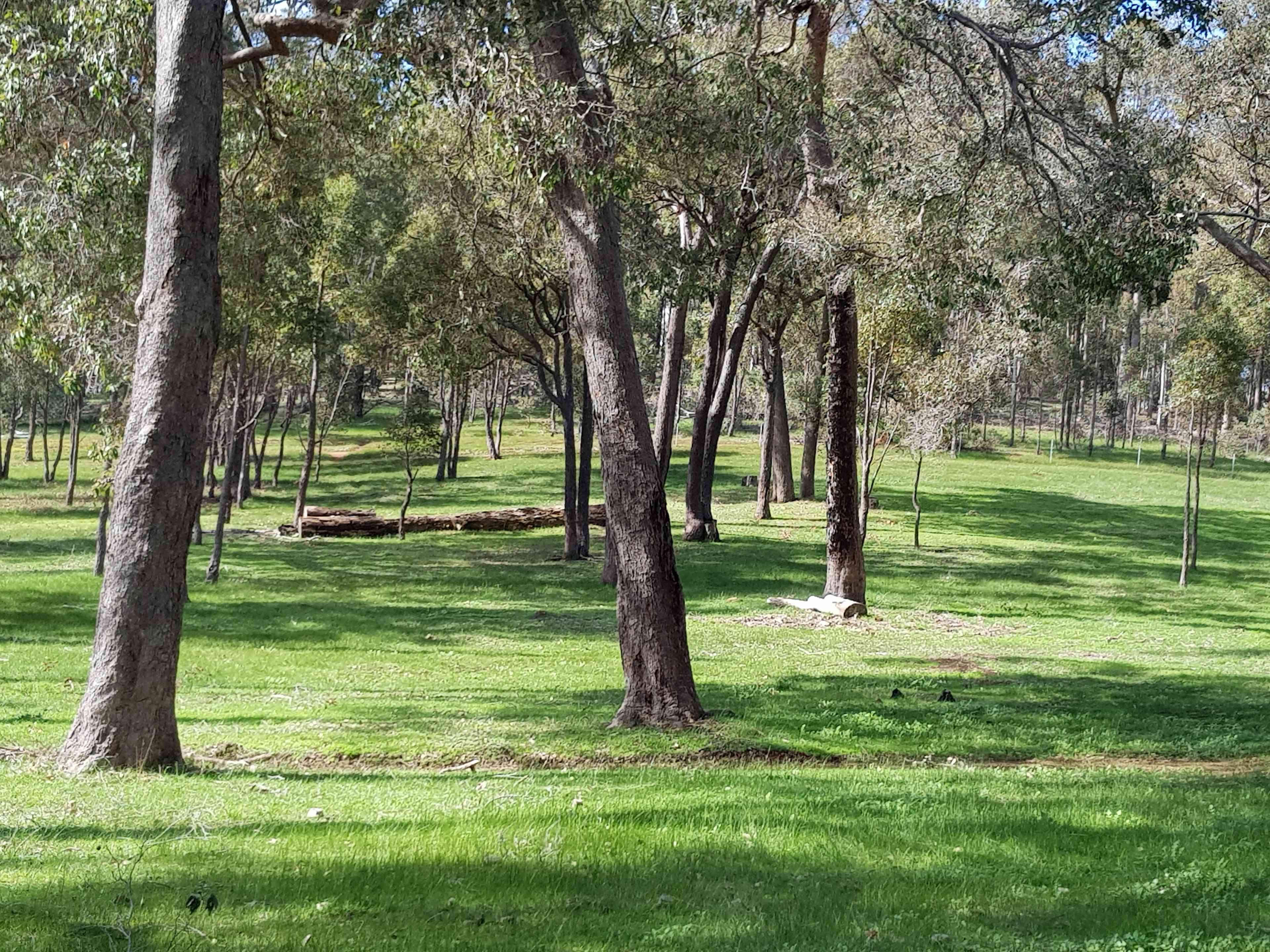 Parkland Bush Camp Mapanap