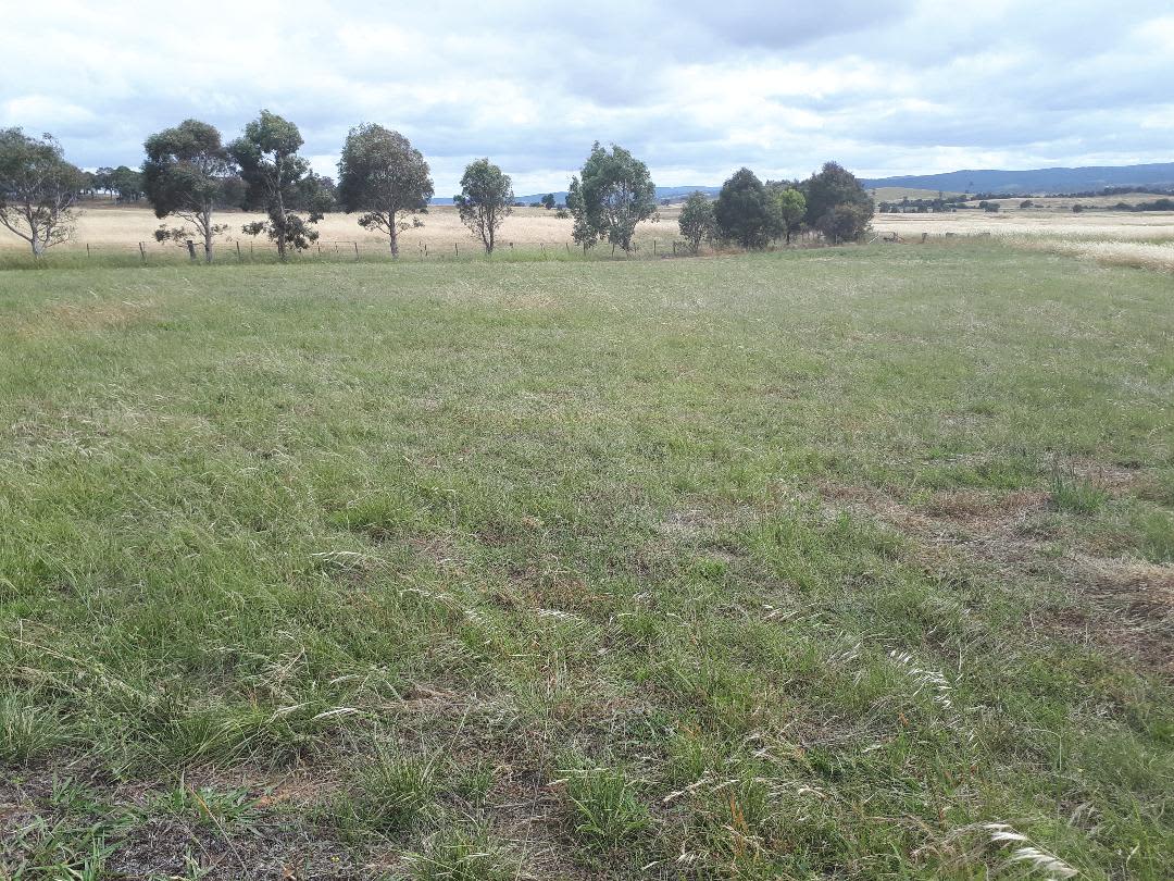 PEACEFUL RURAL PROPERTY SUTTON, NSW