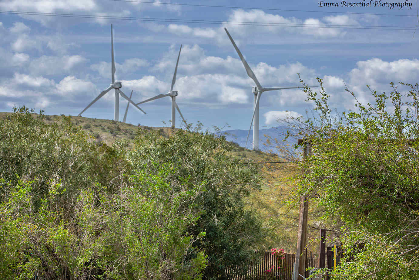 The view from our land. Windmills on the nearby surrounding hills. (It gets windy here.)