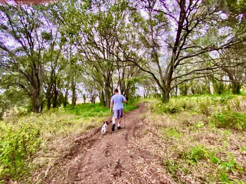 Walking trails in the forest. Bring your pets.