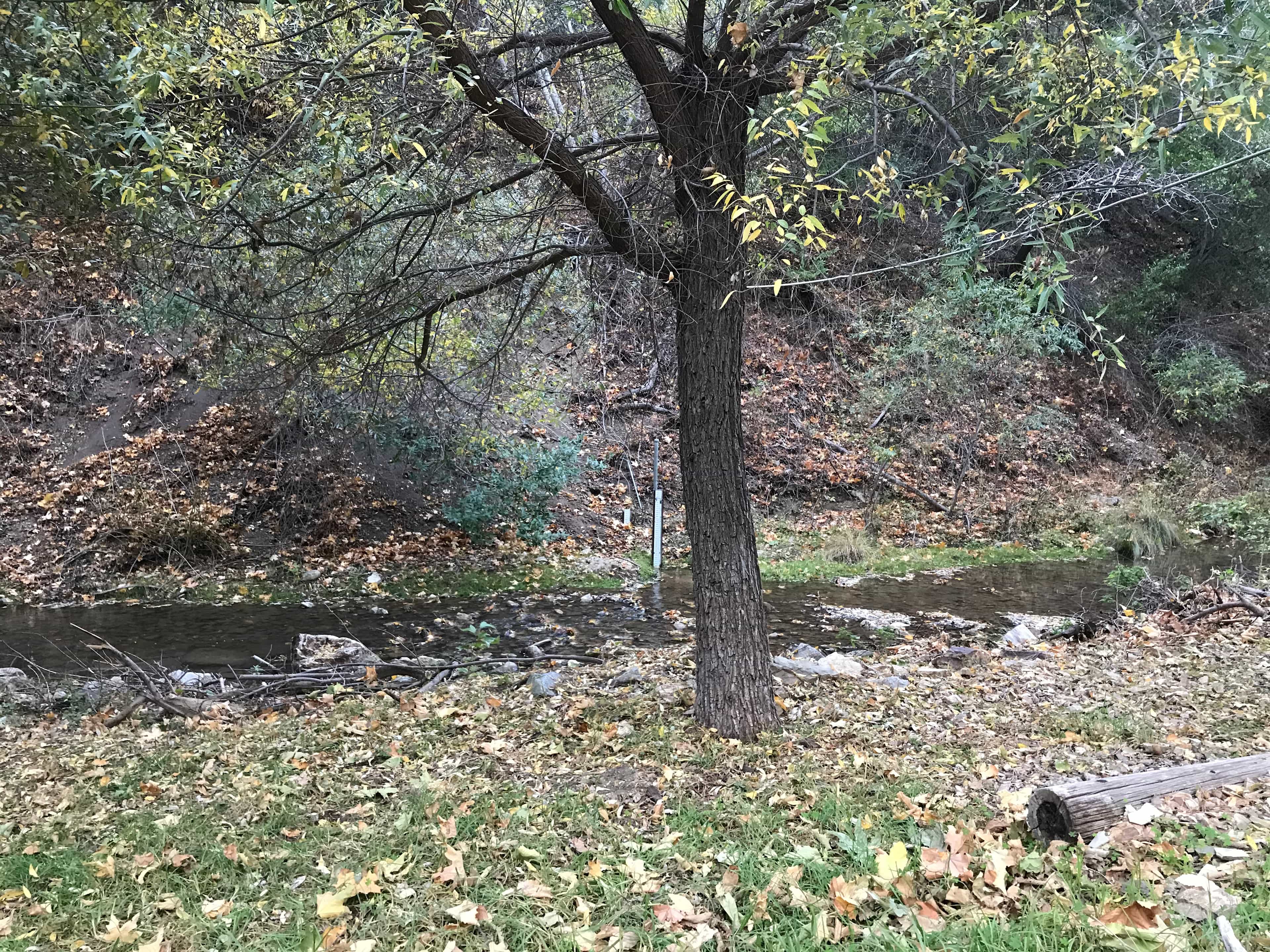 Nice tent spot under the tree next to the creek.