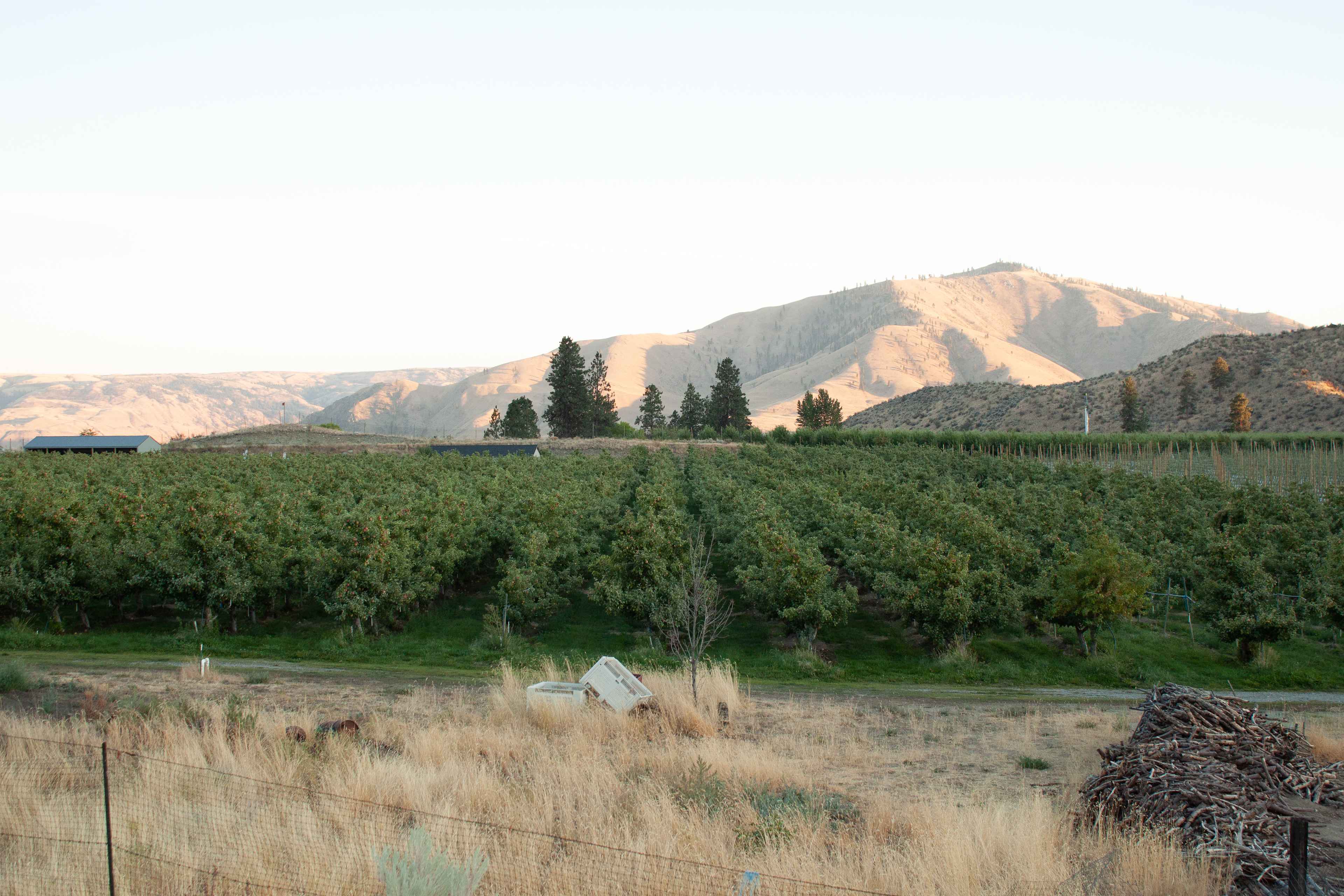 Summerhill Farm and RV Park