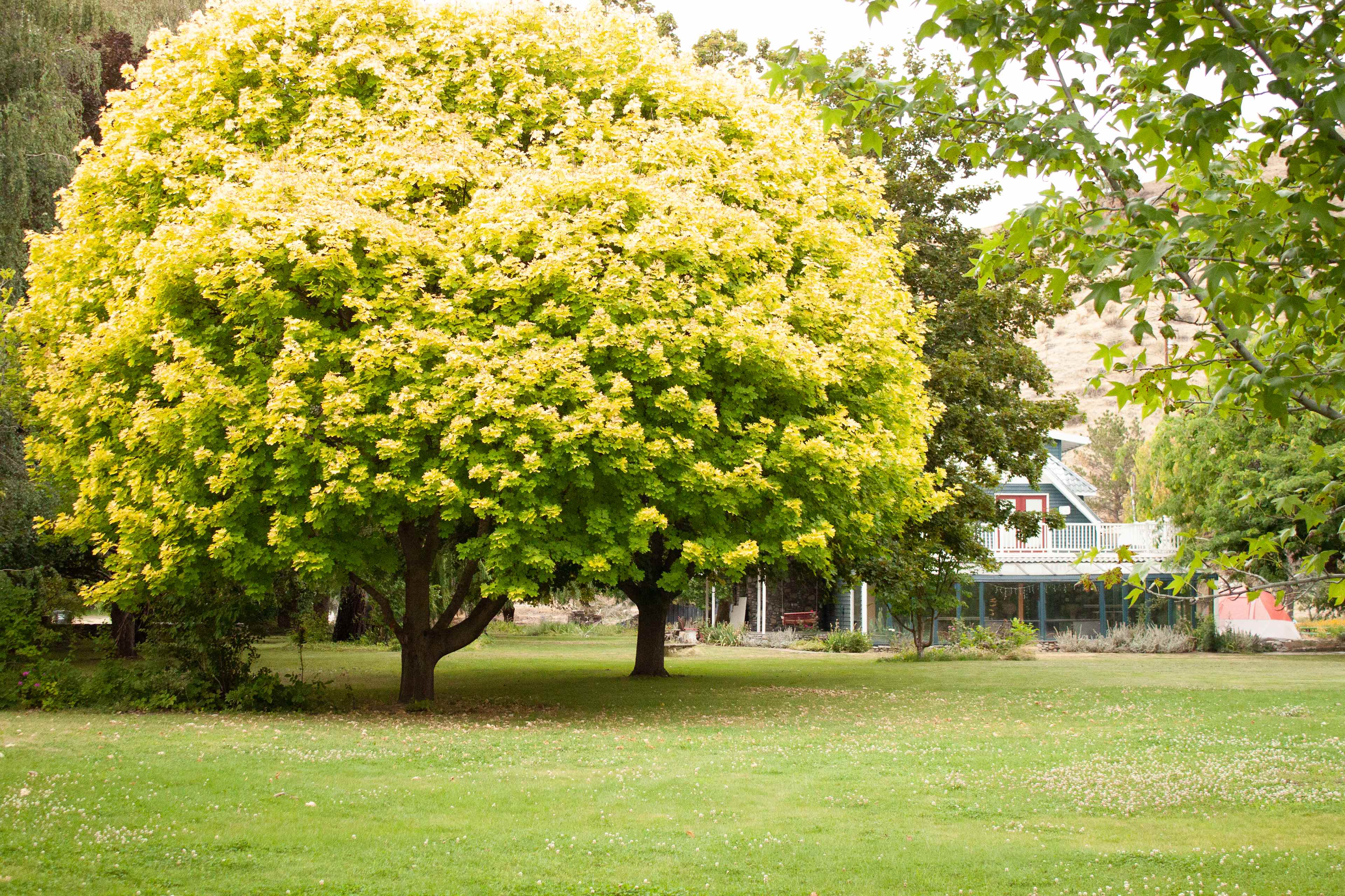 Summerhill Farm and RV Park