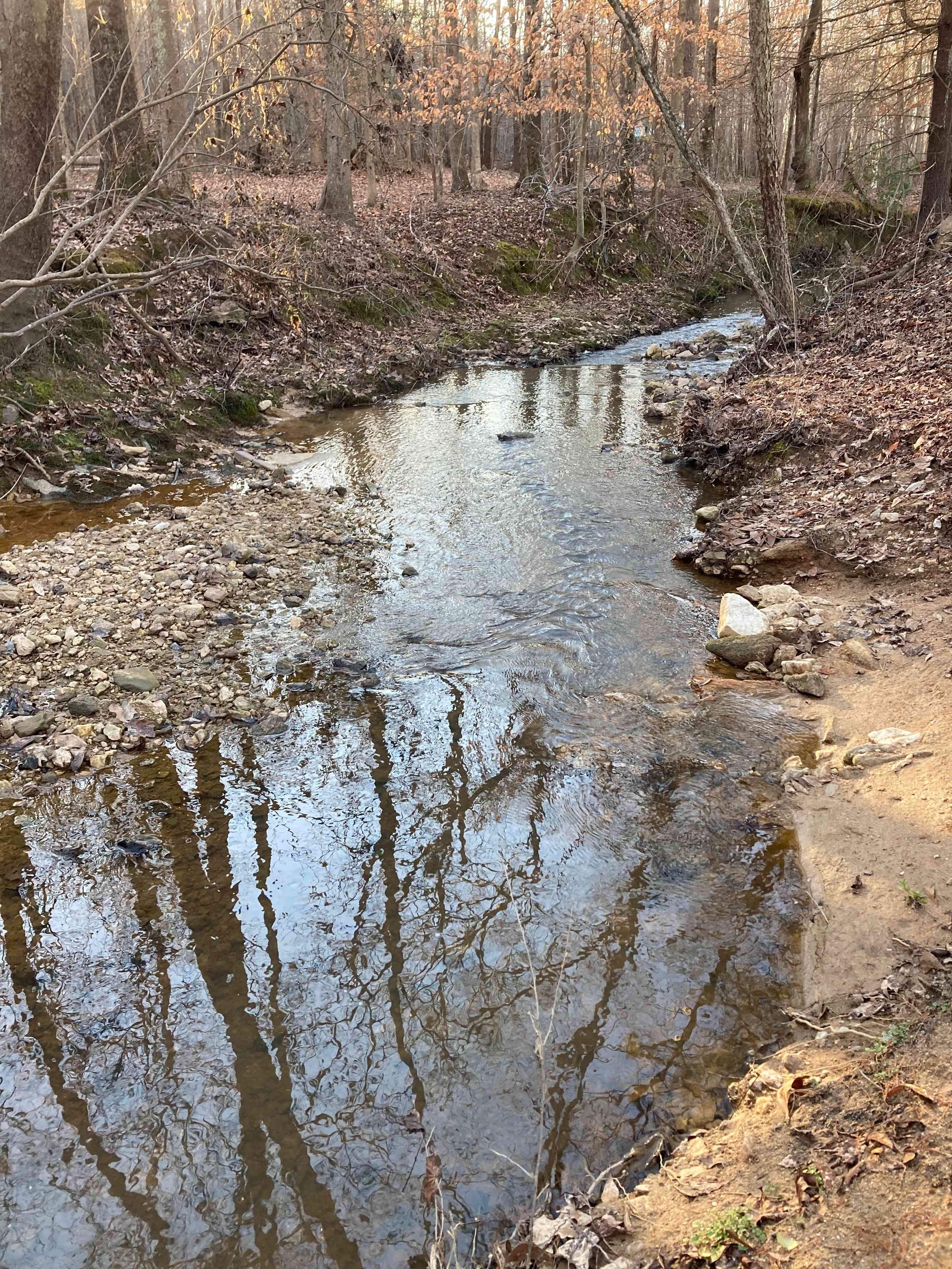 Neal Creek Camping Sites