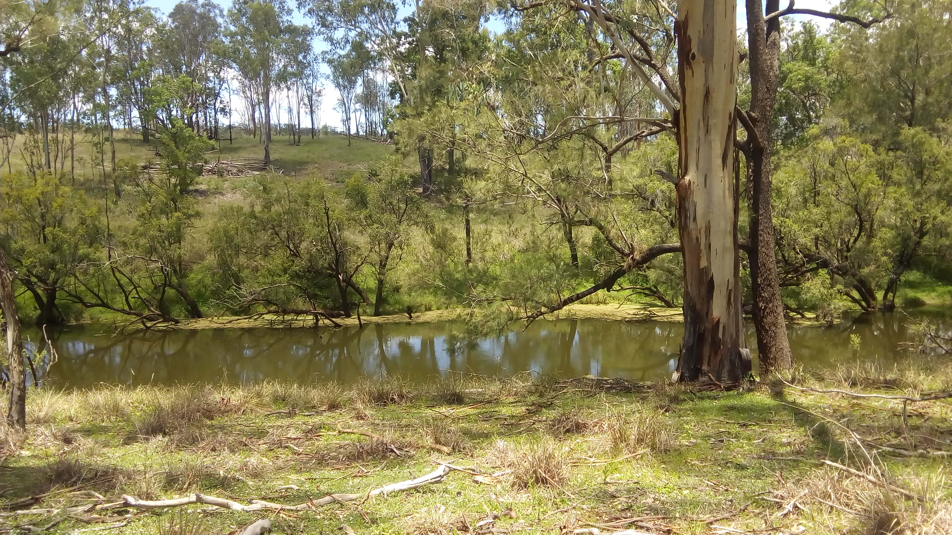 Crystal Springs