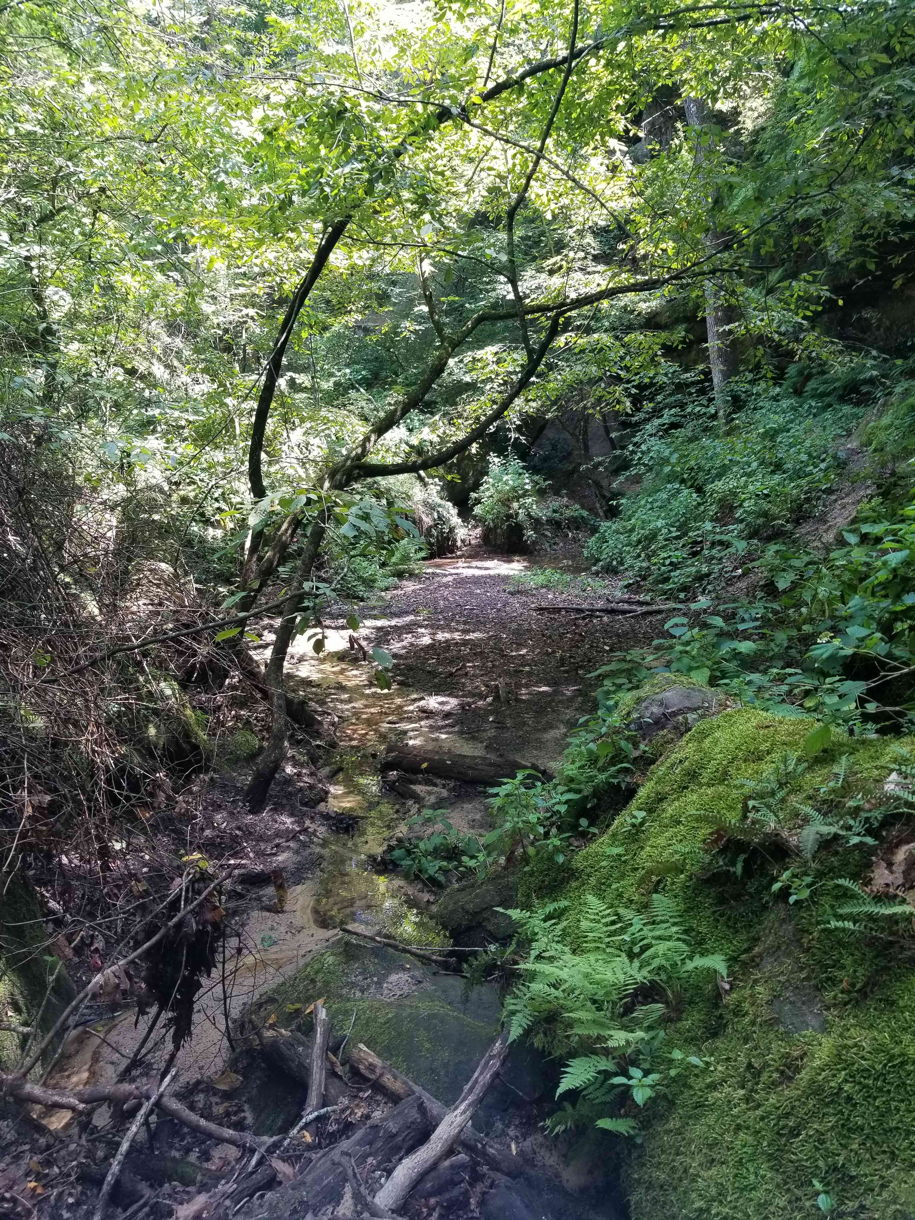 Mountains, feilds, and wooded areas