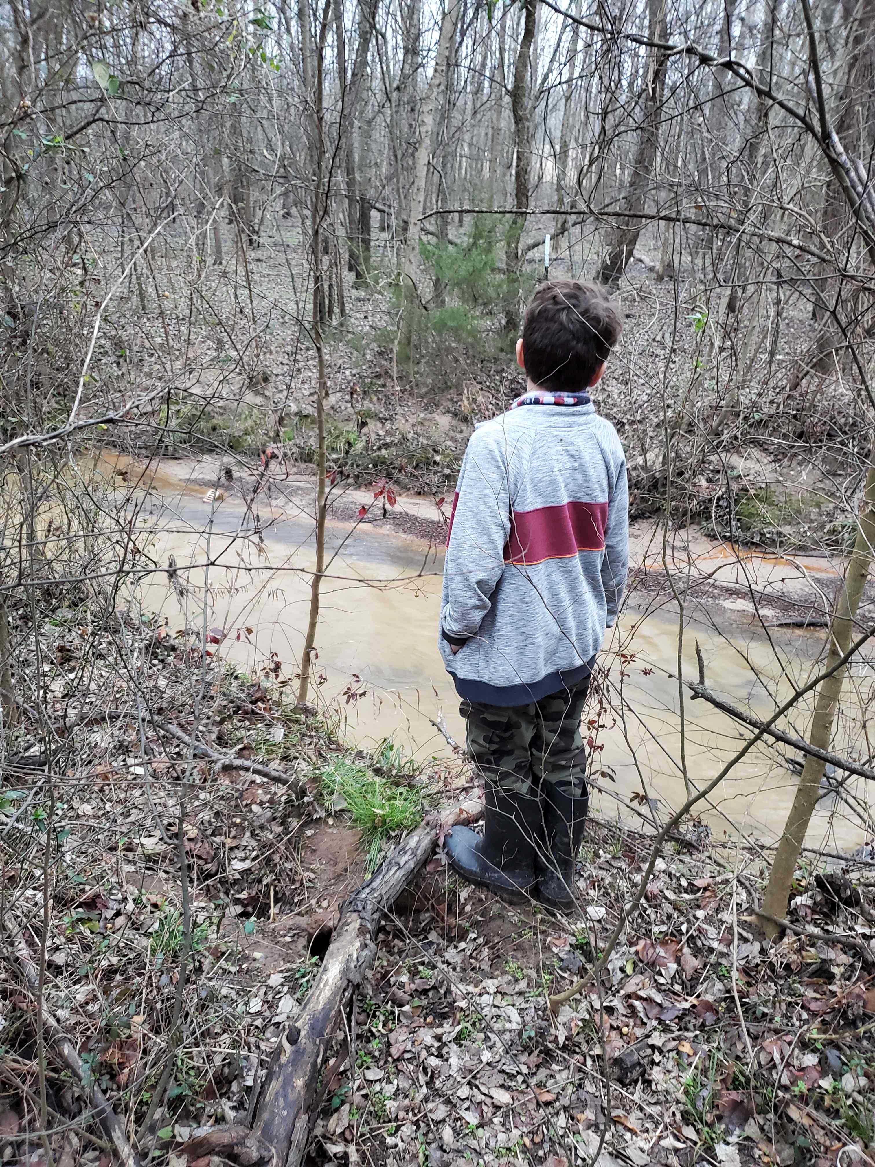 Spring creek 