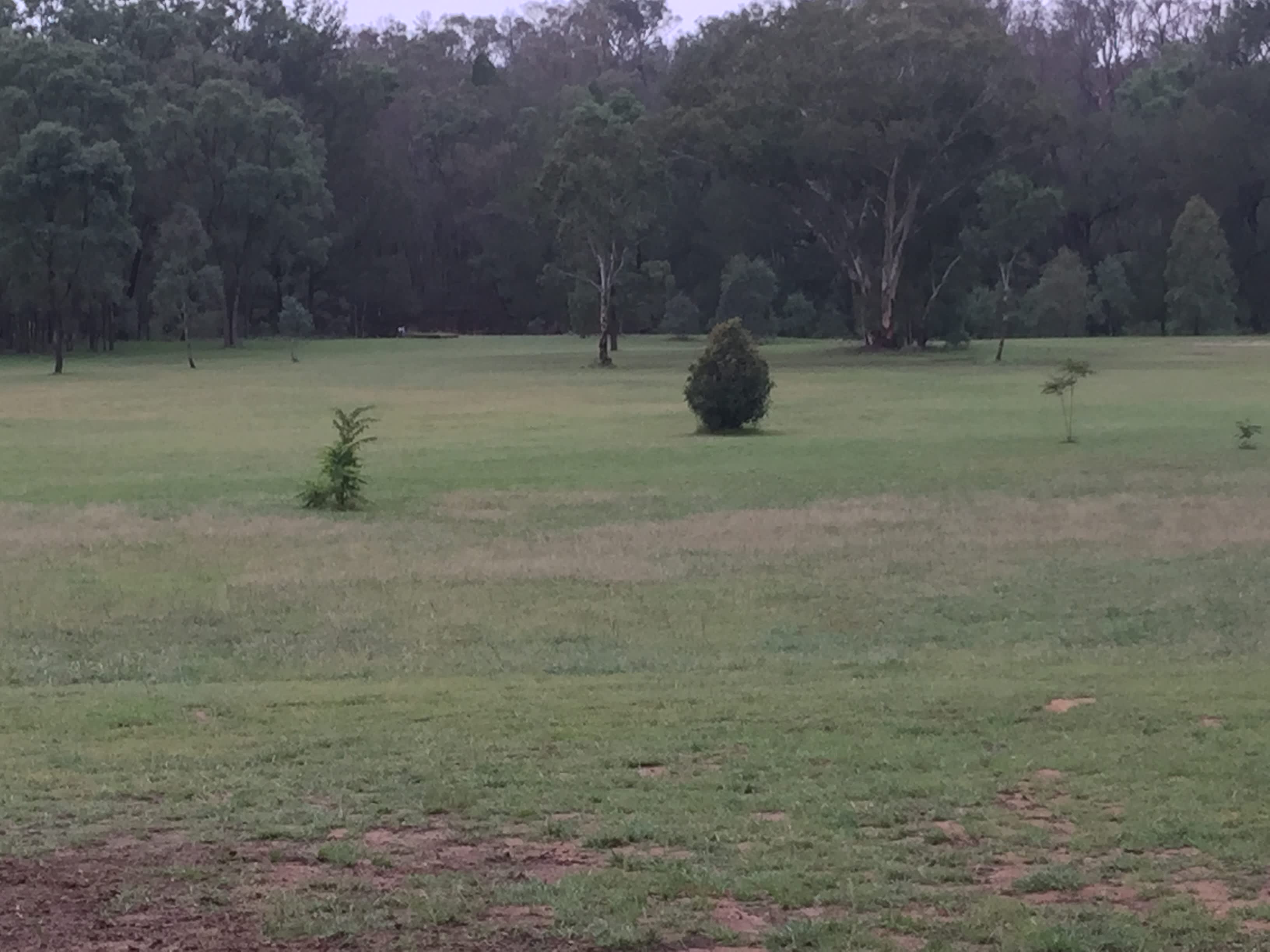 Warrumbungles Mtn Motel Campground