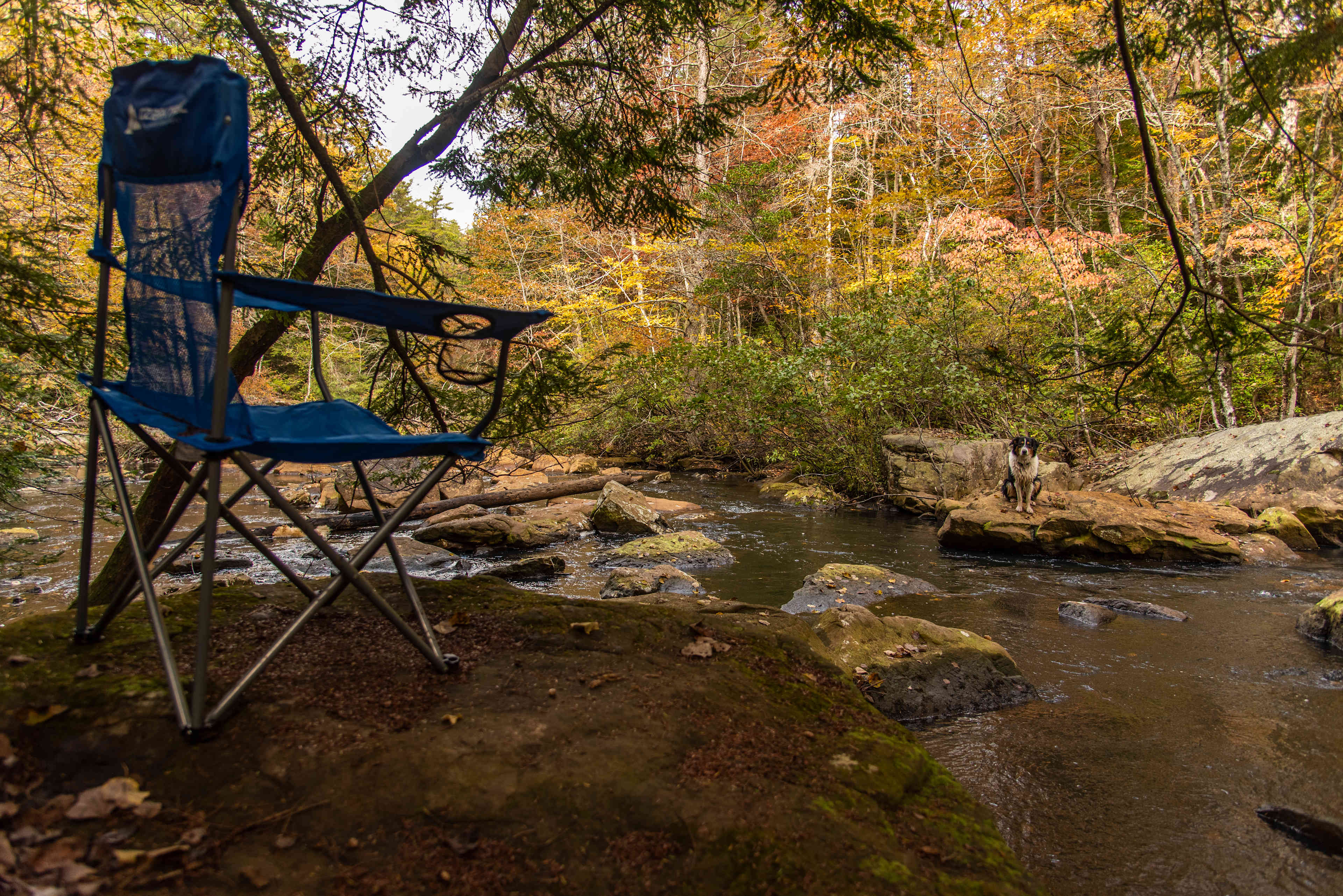 Hammock’Sway Private Off Grid Camp