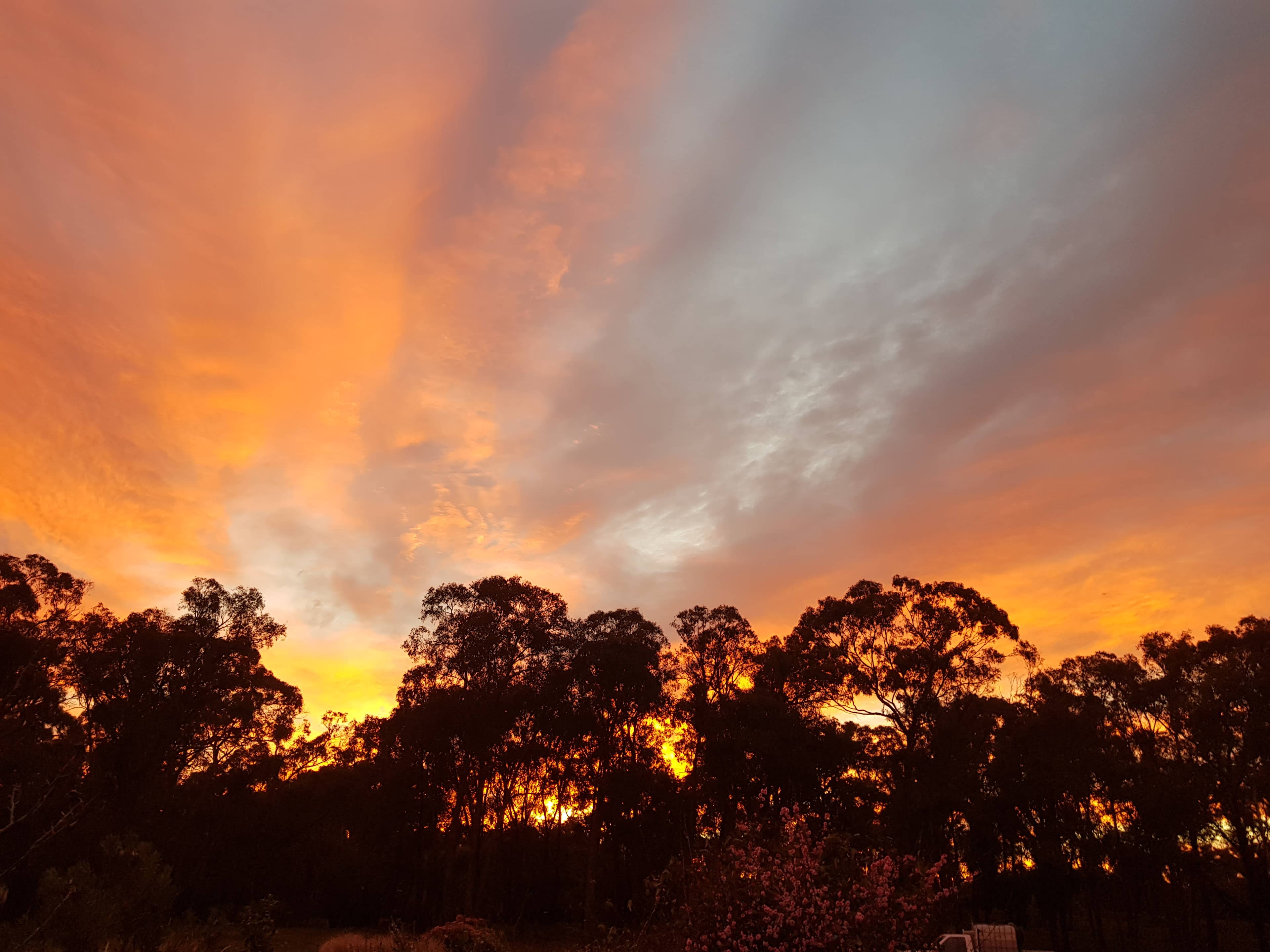 Penzance Bushland Retreat
