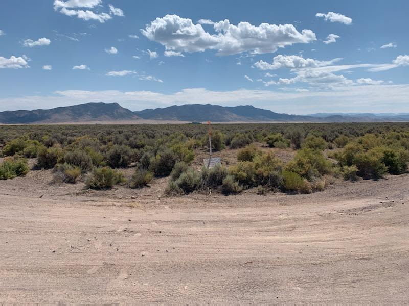Briggs' Beryl Desert Retreat