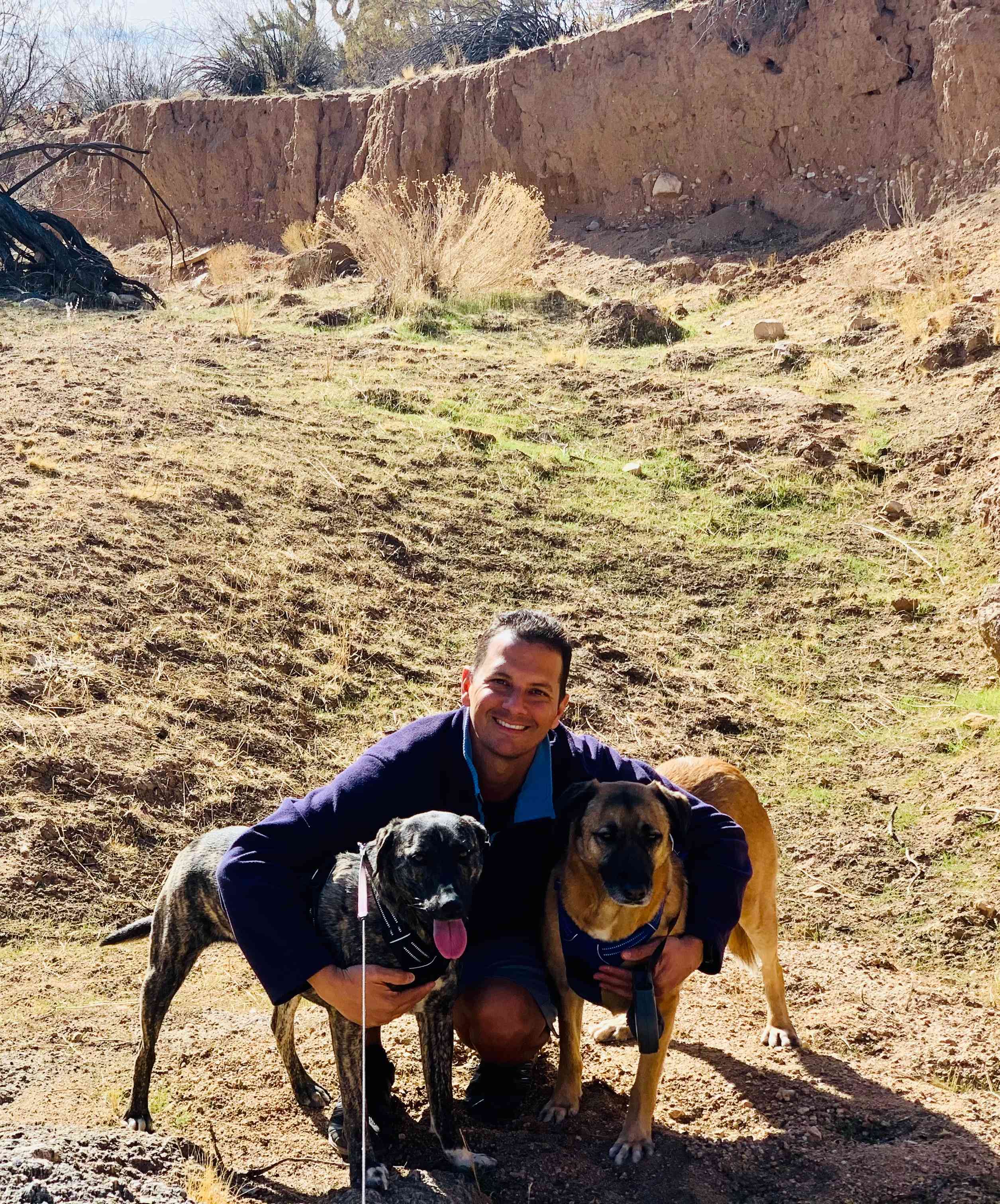 Our dogs Preston & Willow enjoying the 2-day adventure.