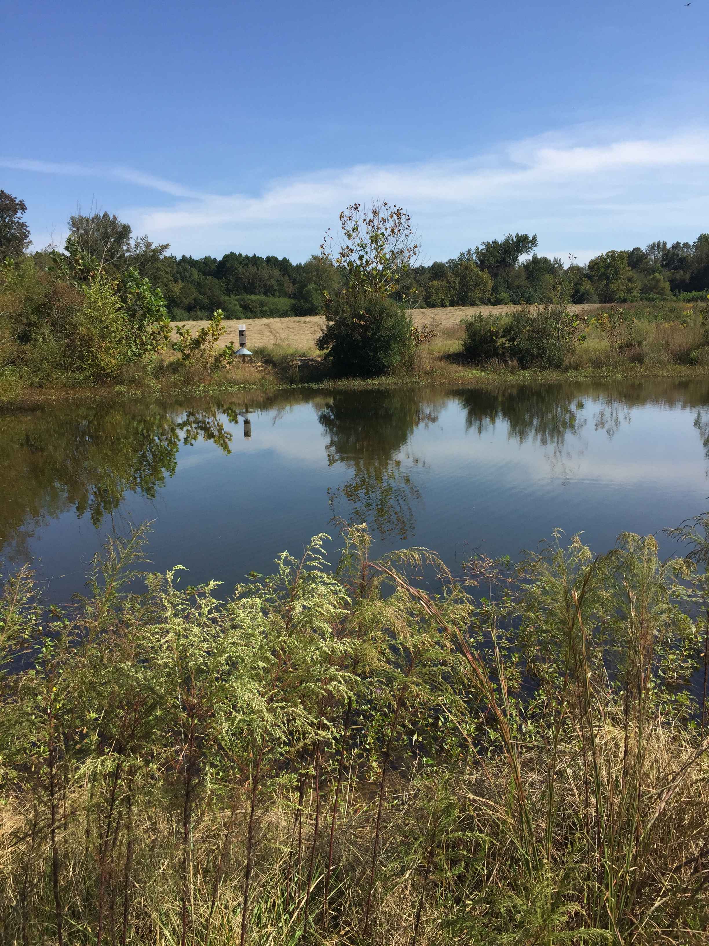 Open large grass fields near pond