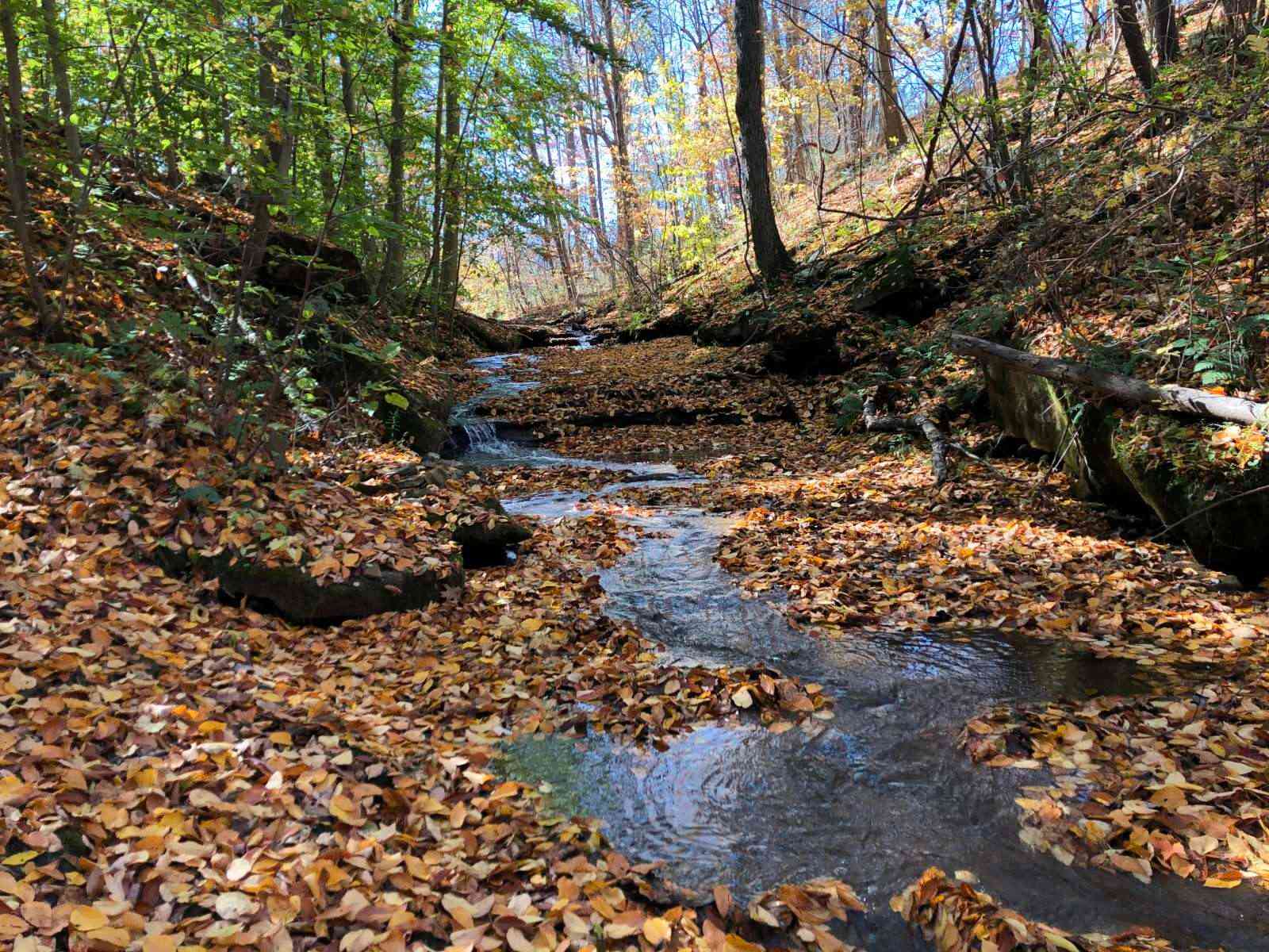 River Hills Above the Allegheny