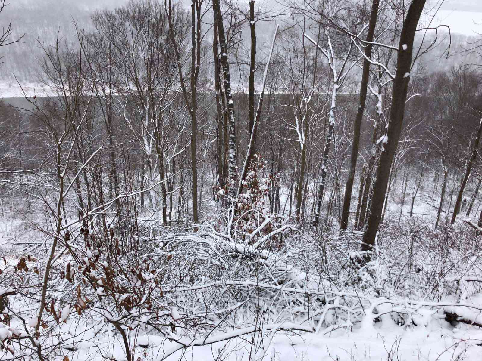 River Hills Above the Allegheny