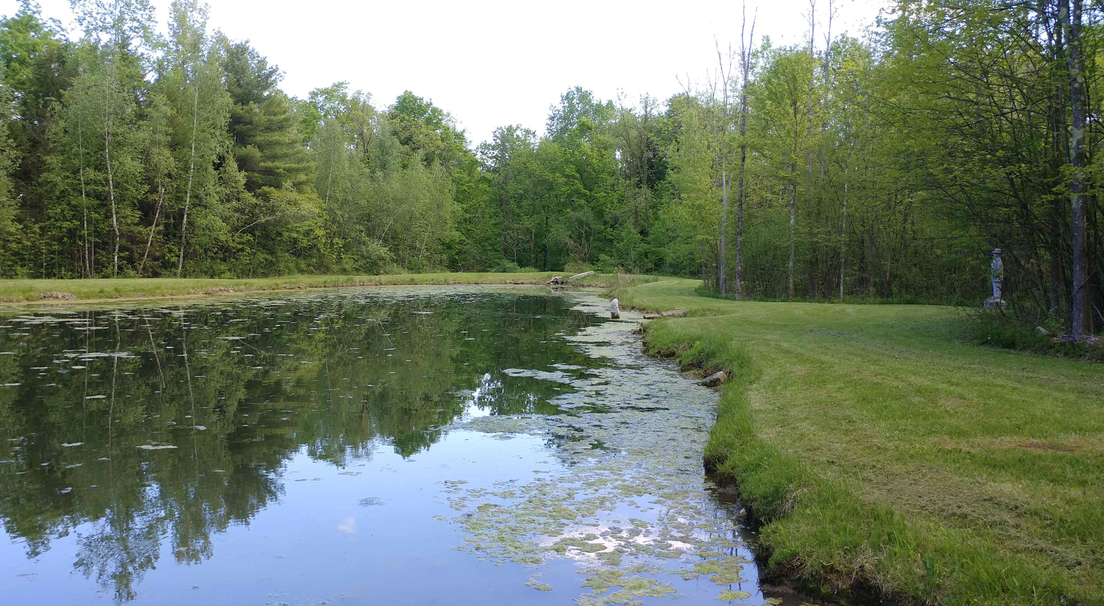 Tent camping next to private pond