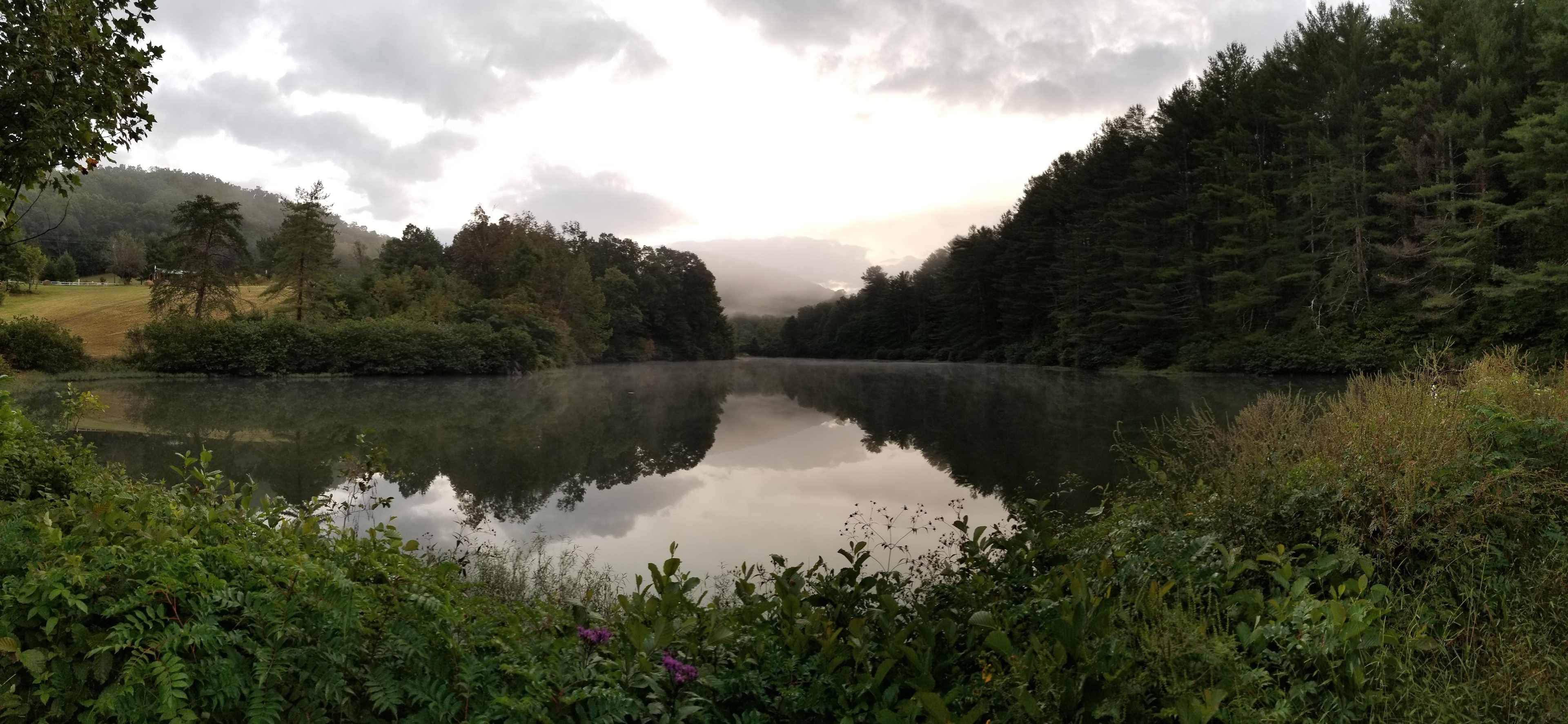 Cannon Lake Private Woodland