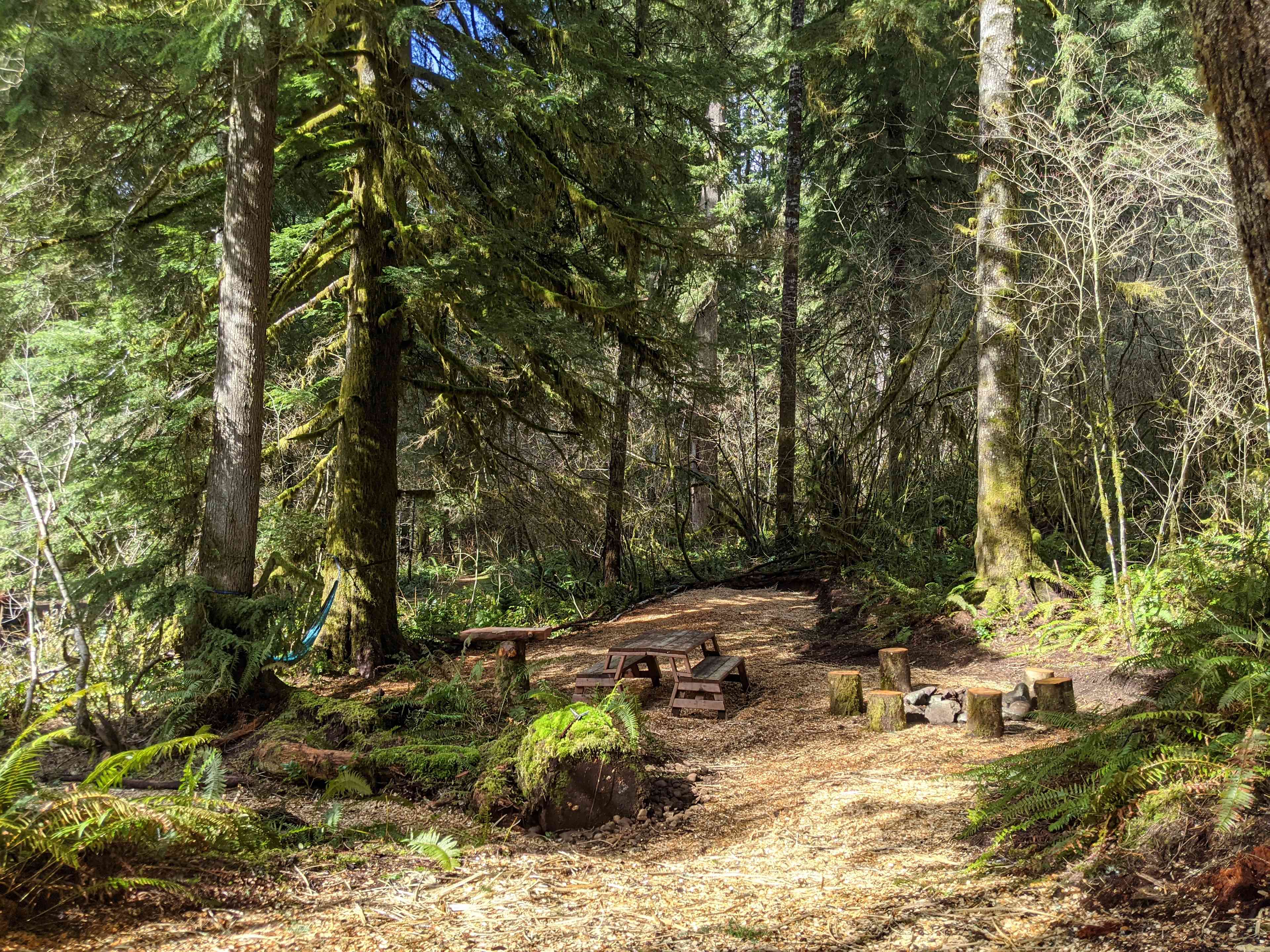 Campsite #5 turned out beautiful. Close to parking and outhouse. Has fire pit, slab table, hammock and picnic bench. Tucked back in the forest with lots of shade. 