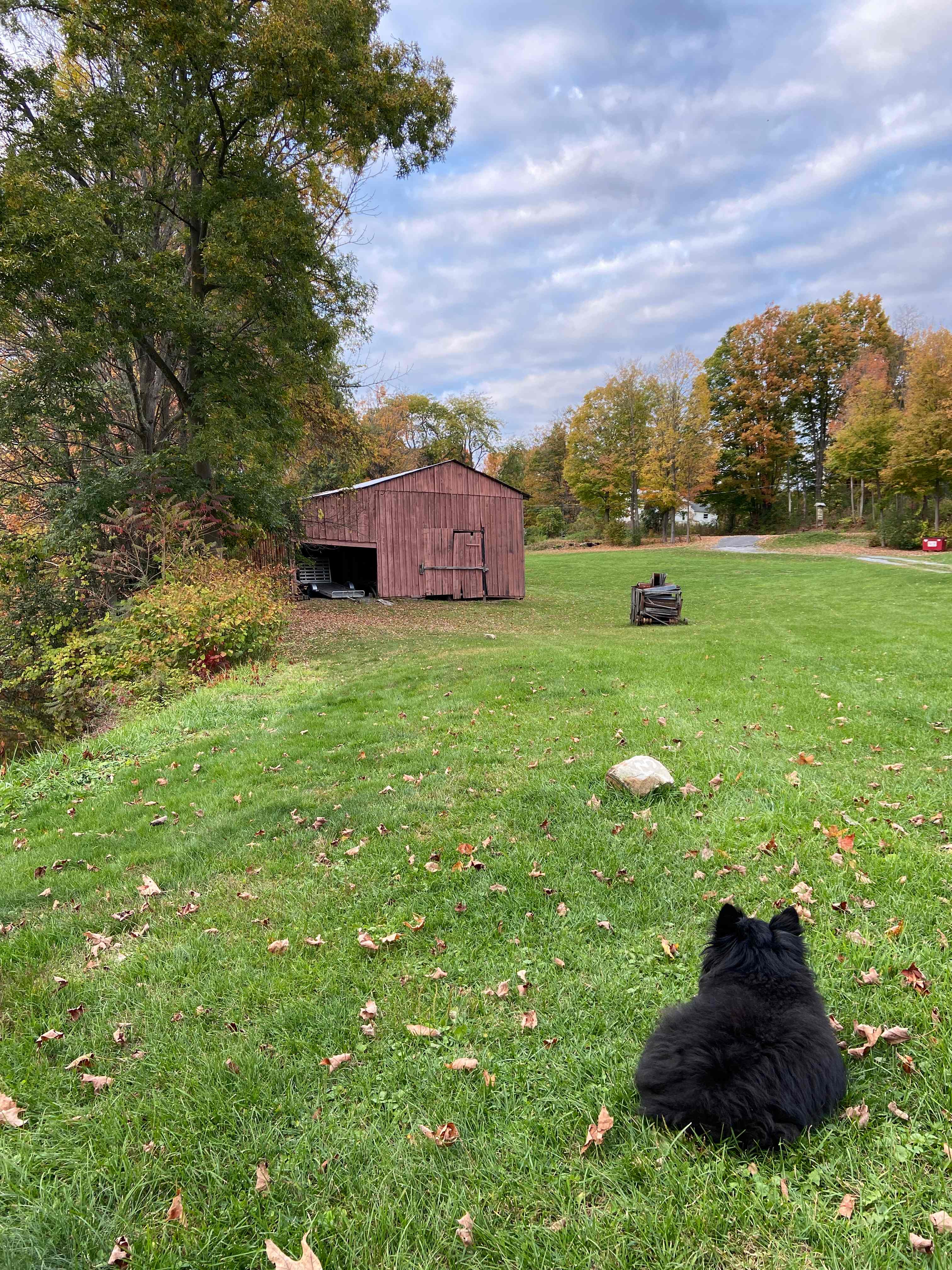 Andelyn Farm