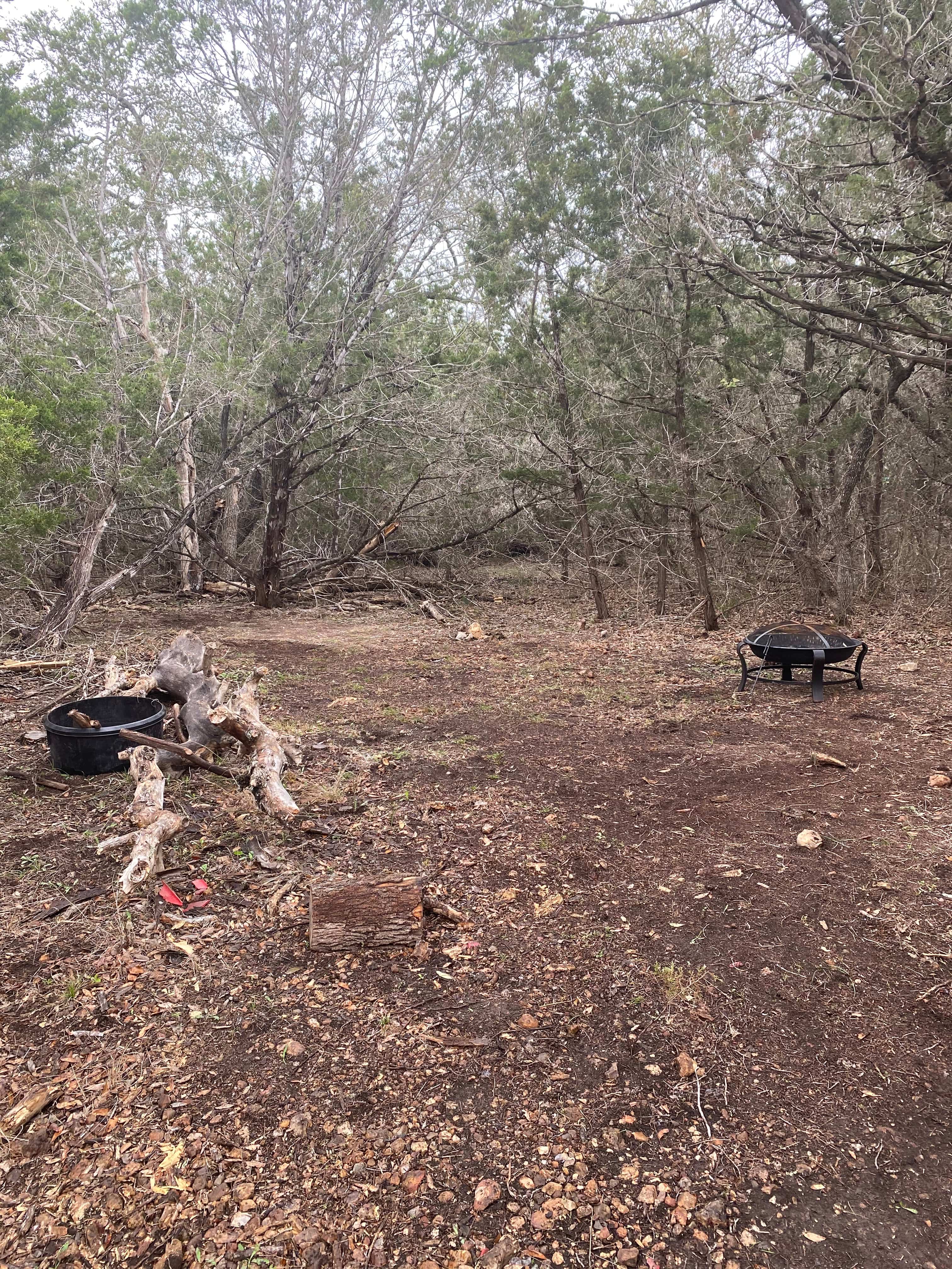 Campsite, seating log, fire pit