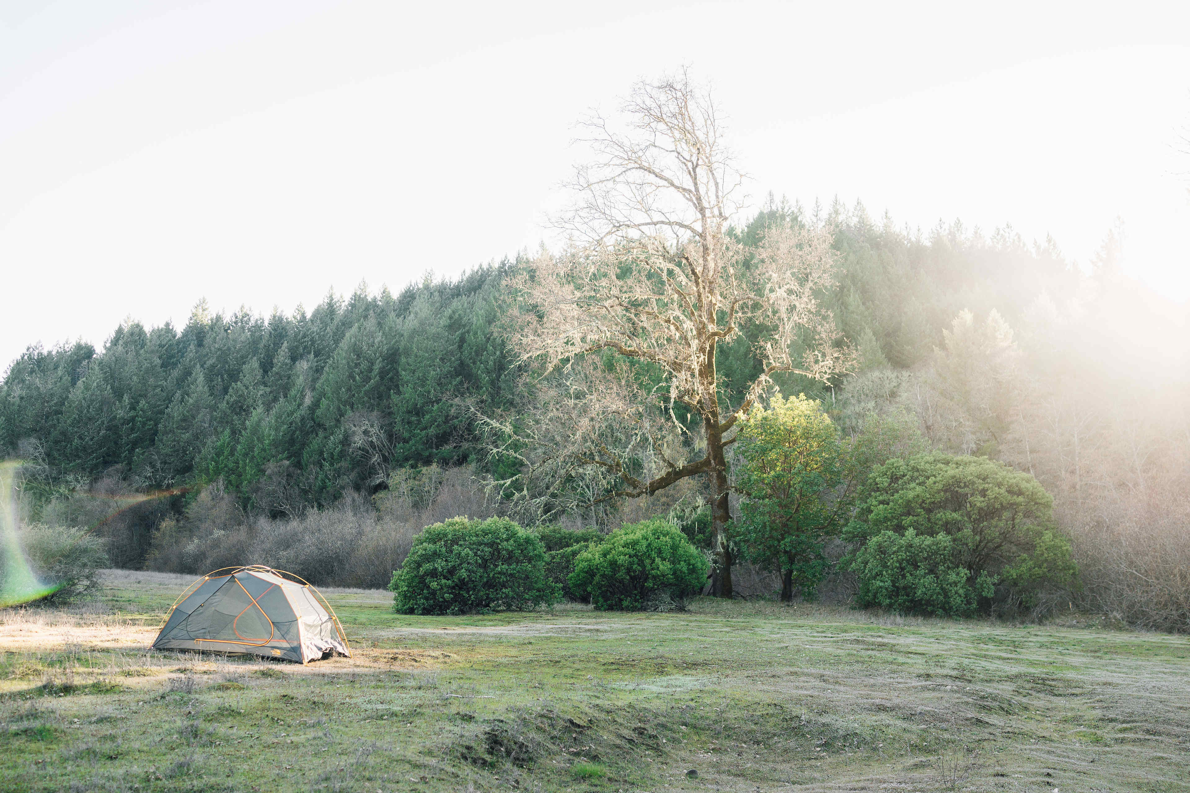 Dreamy evenings at Creekside Camp 1