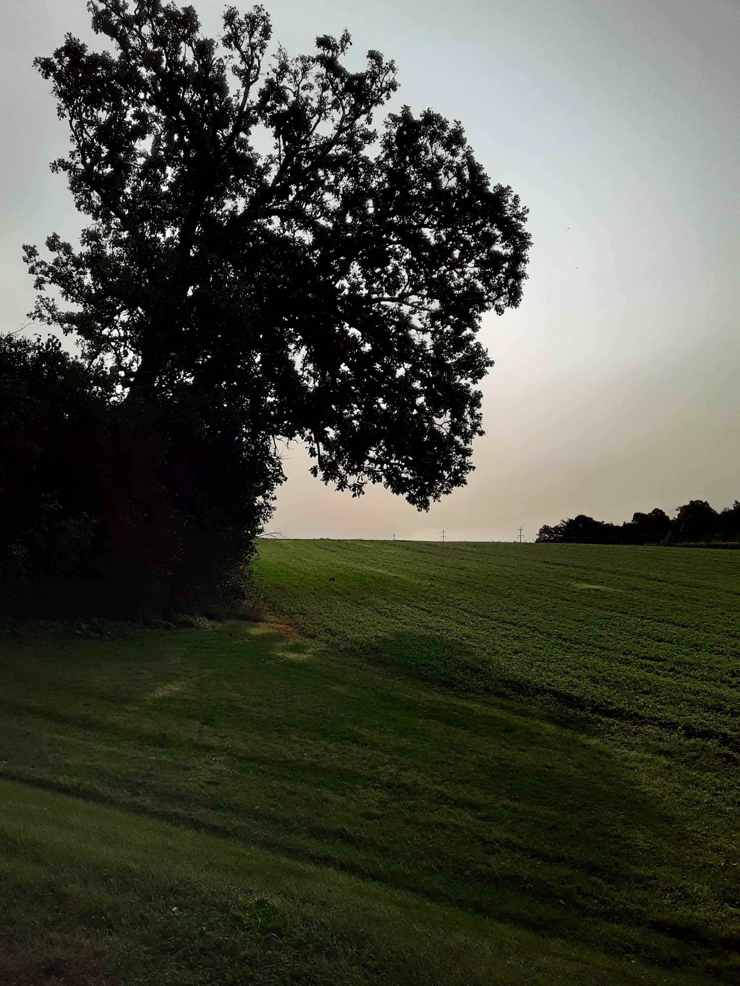 Rasset Family Farm