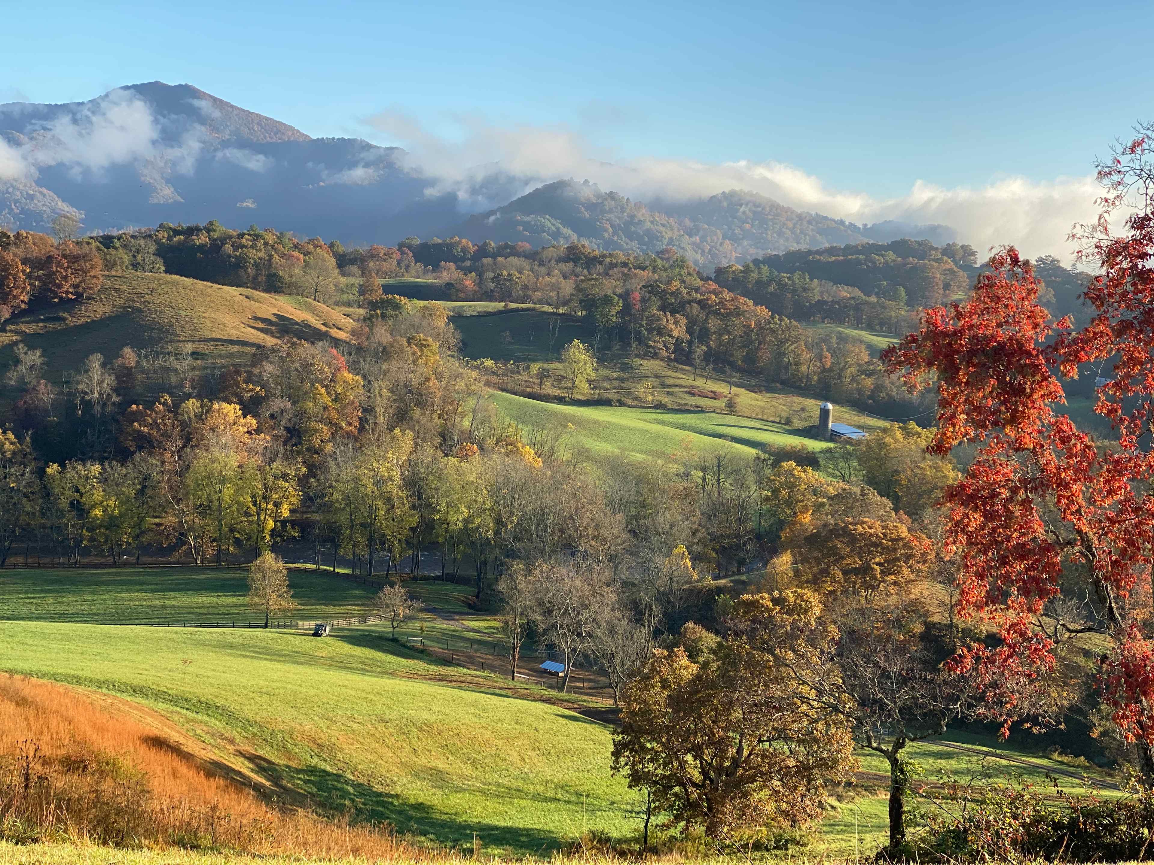 Smoky Mtn Mangalitsa River Ranch
