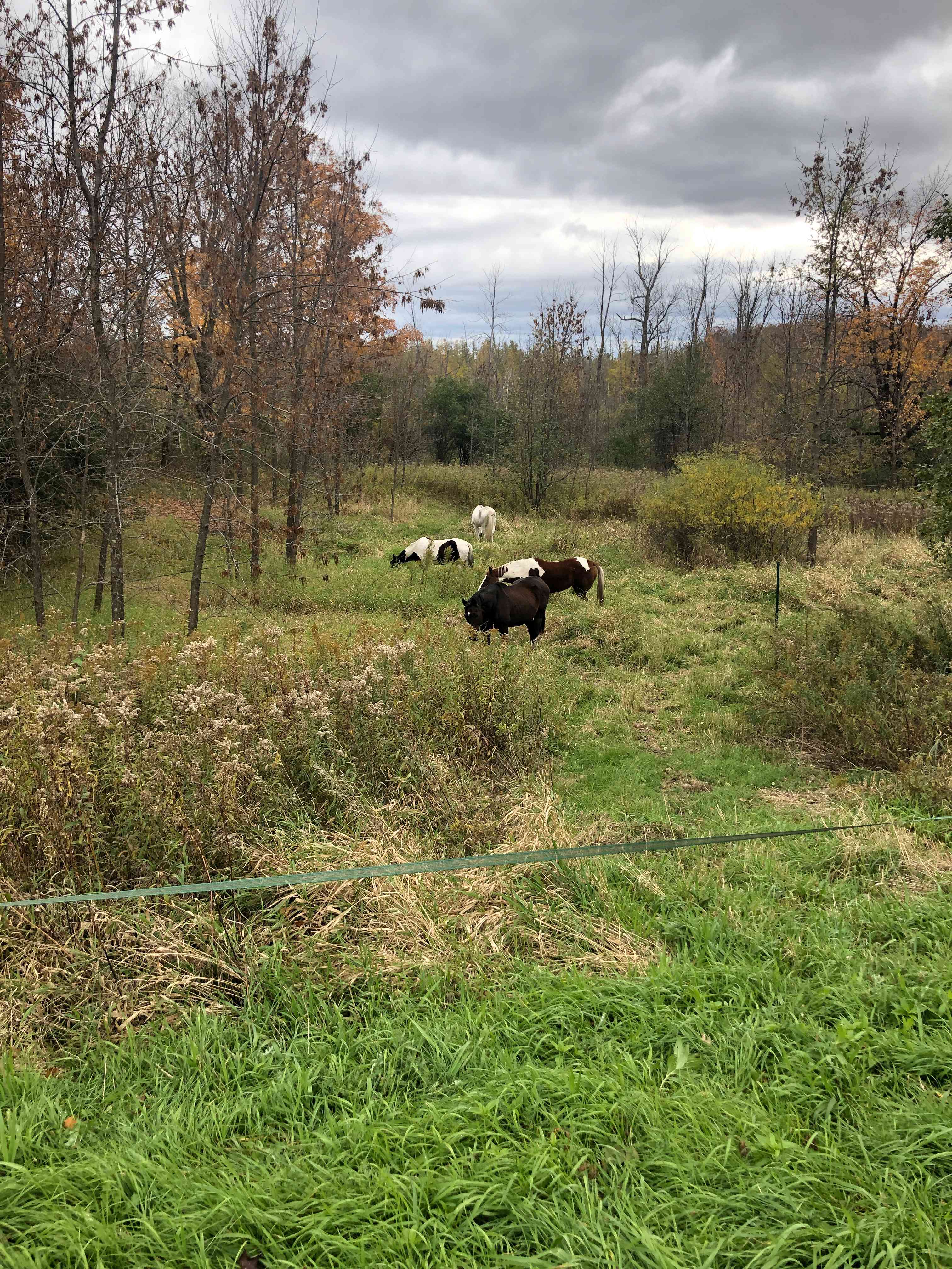 Country farm