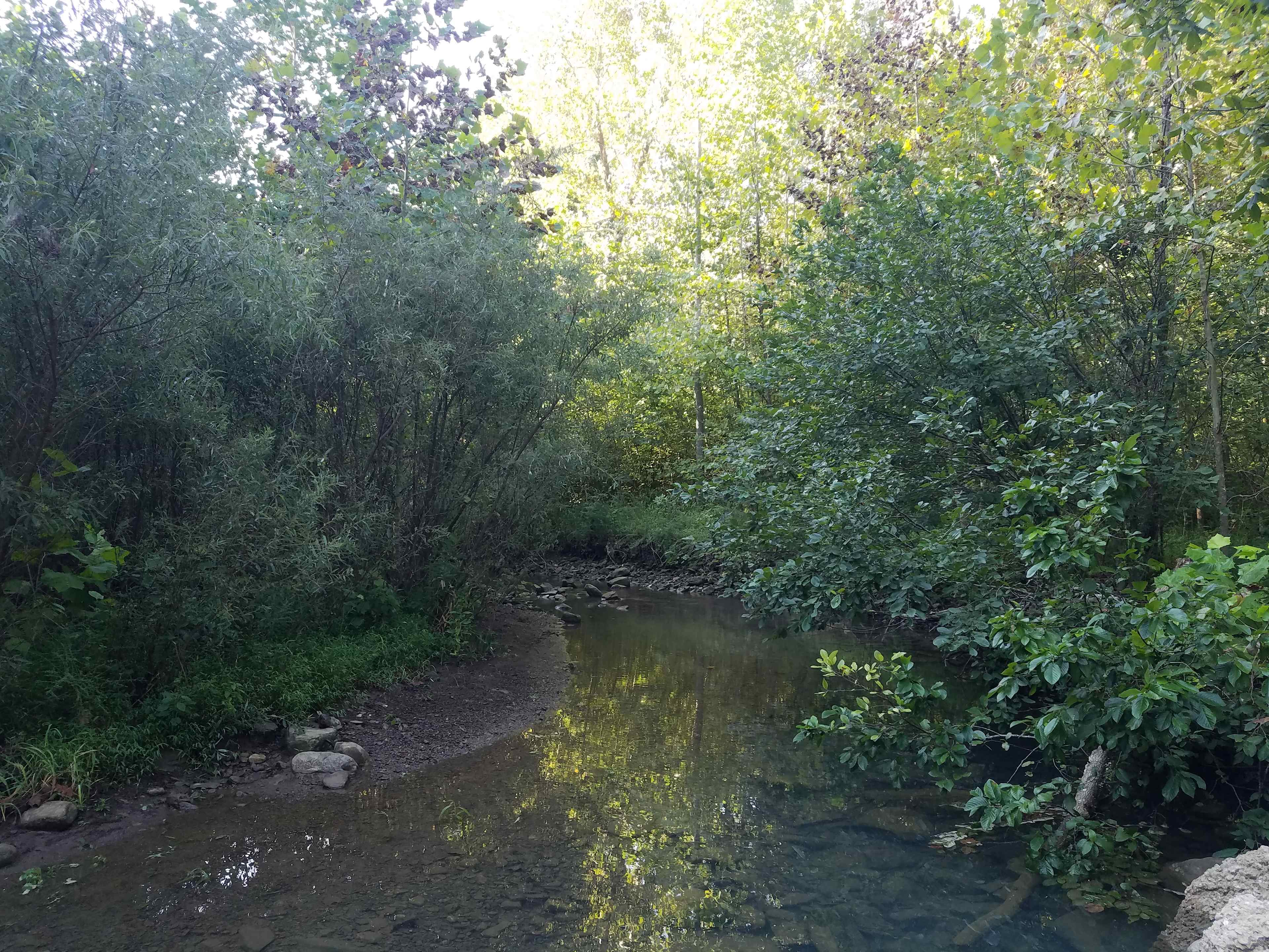 creek side camping