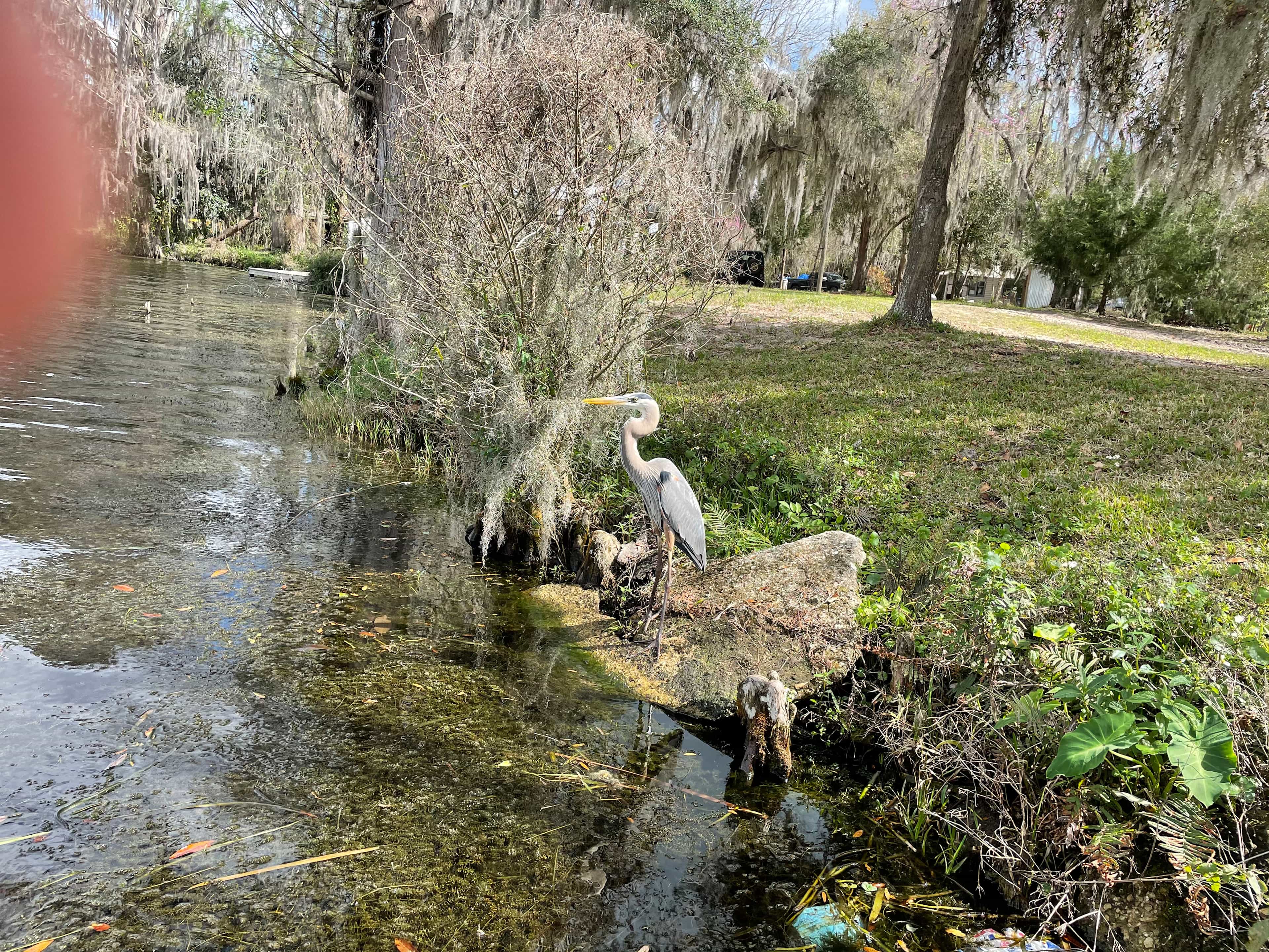 Paradise Lake  Rousseau ,Fl