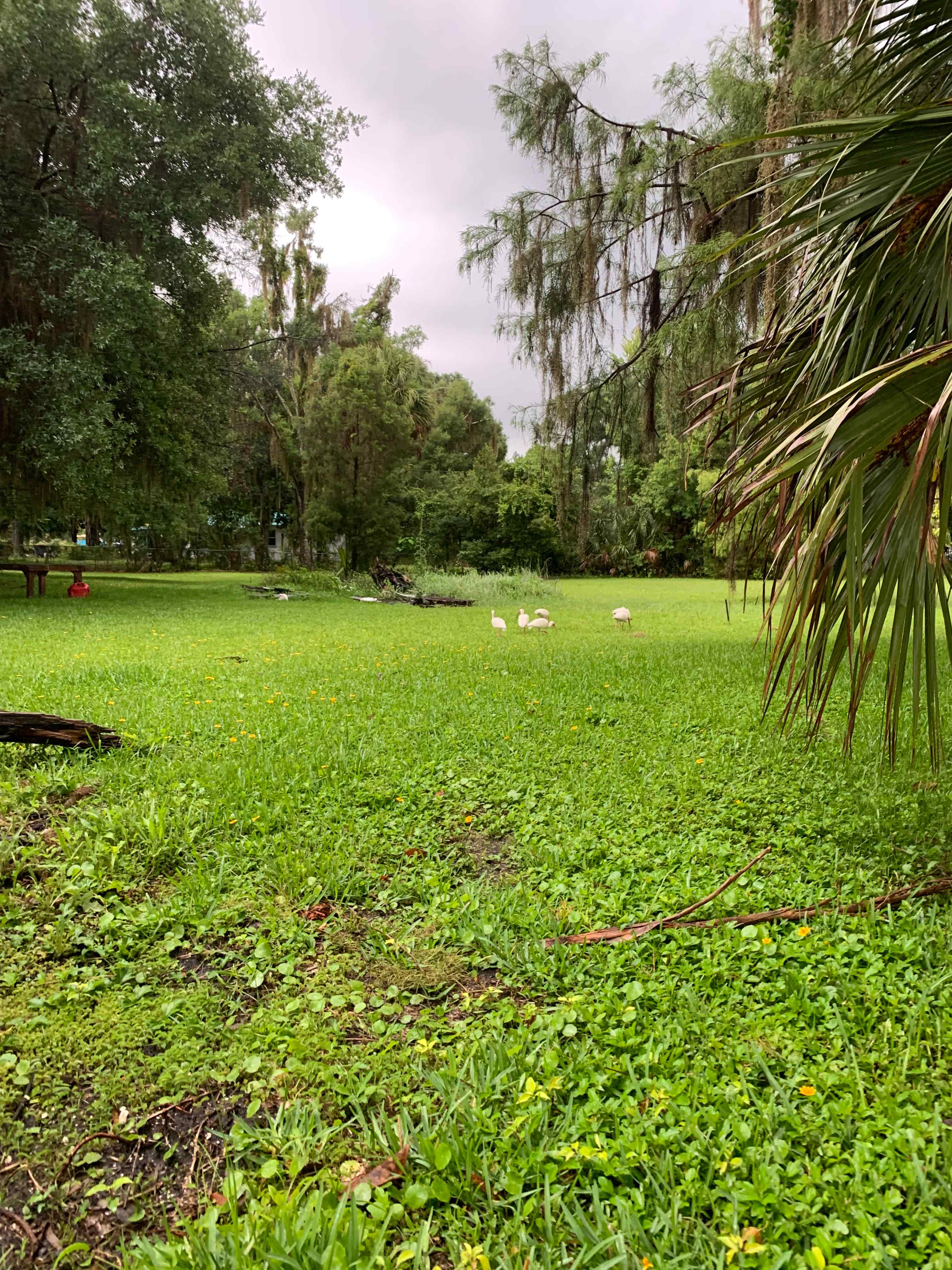 Paradise Lake  Rousseau ,Fl