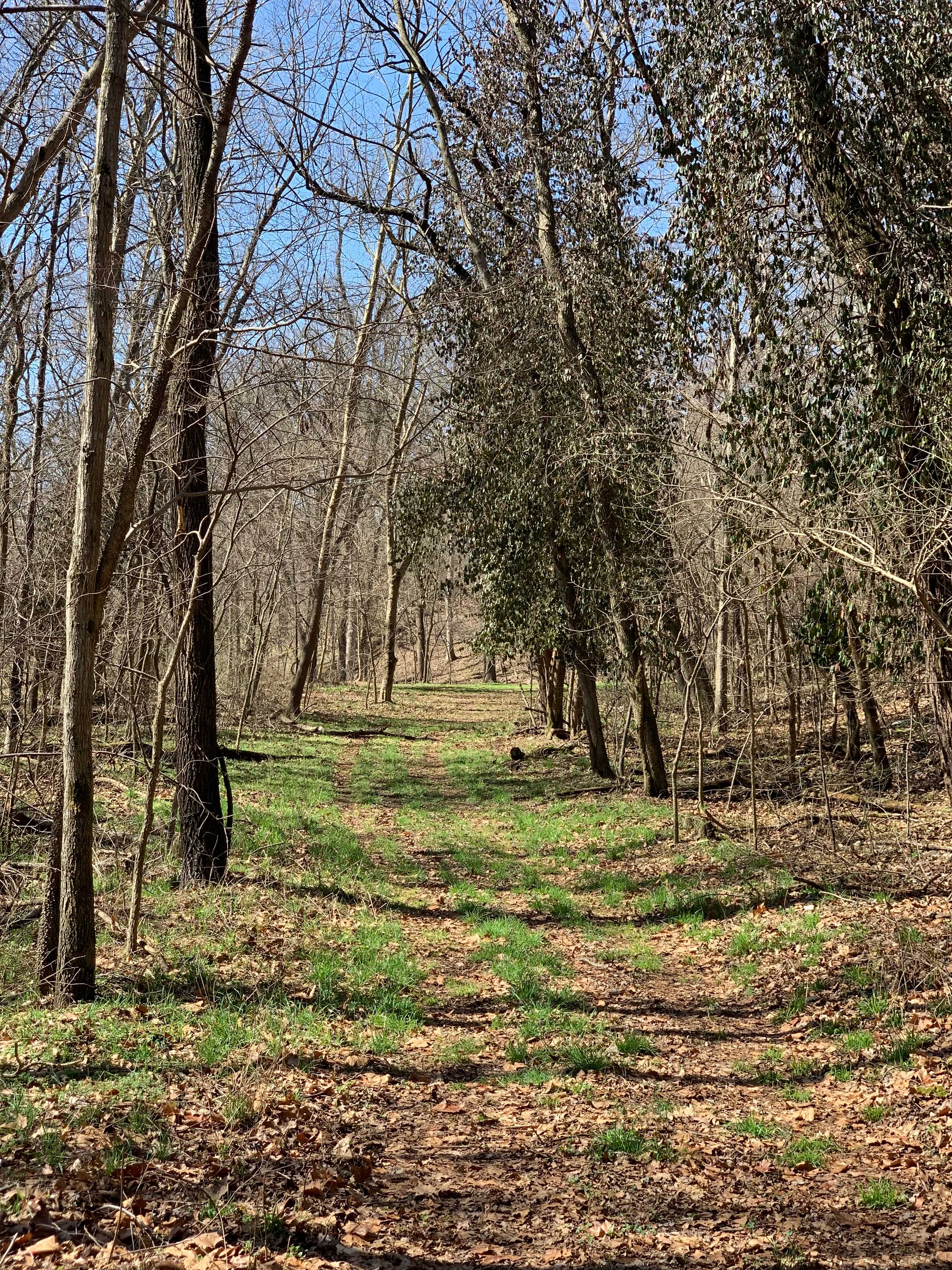 Flint Creek Endurance Heaven