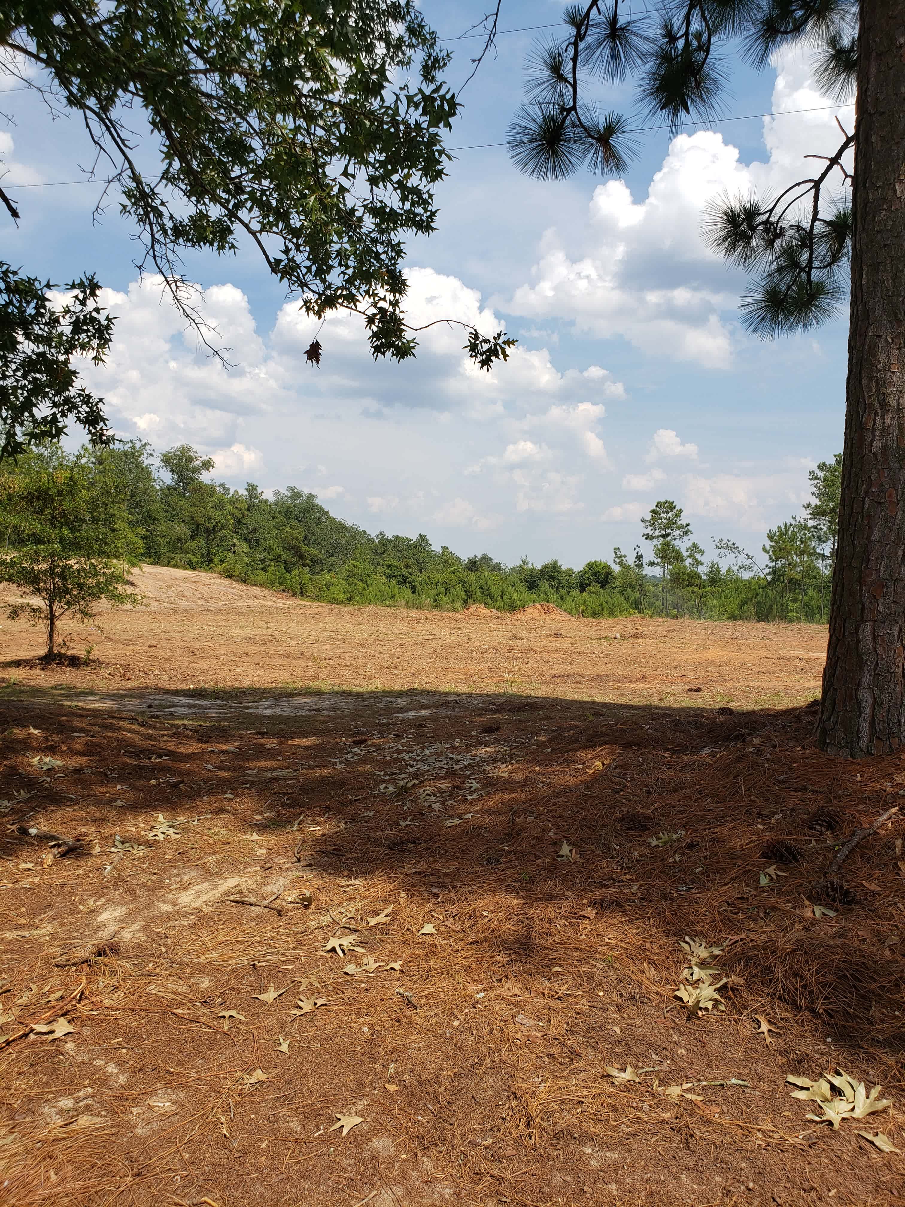 The Landing on Bogus Hill