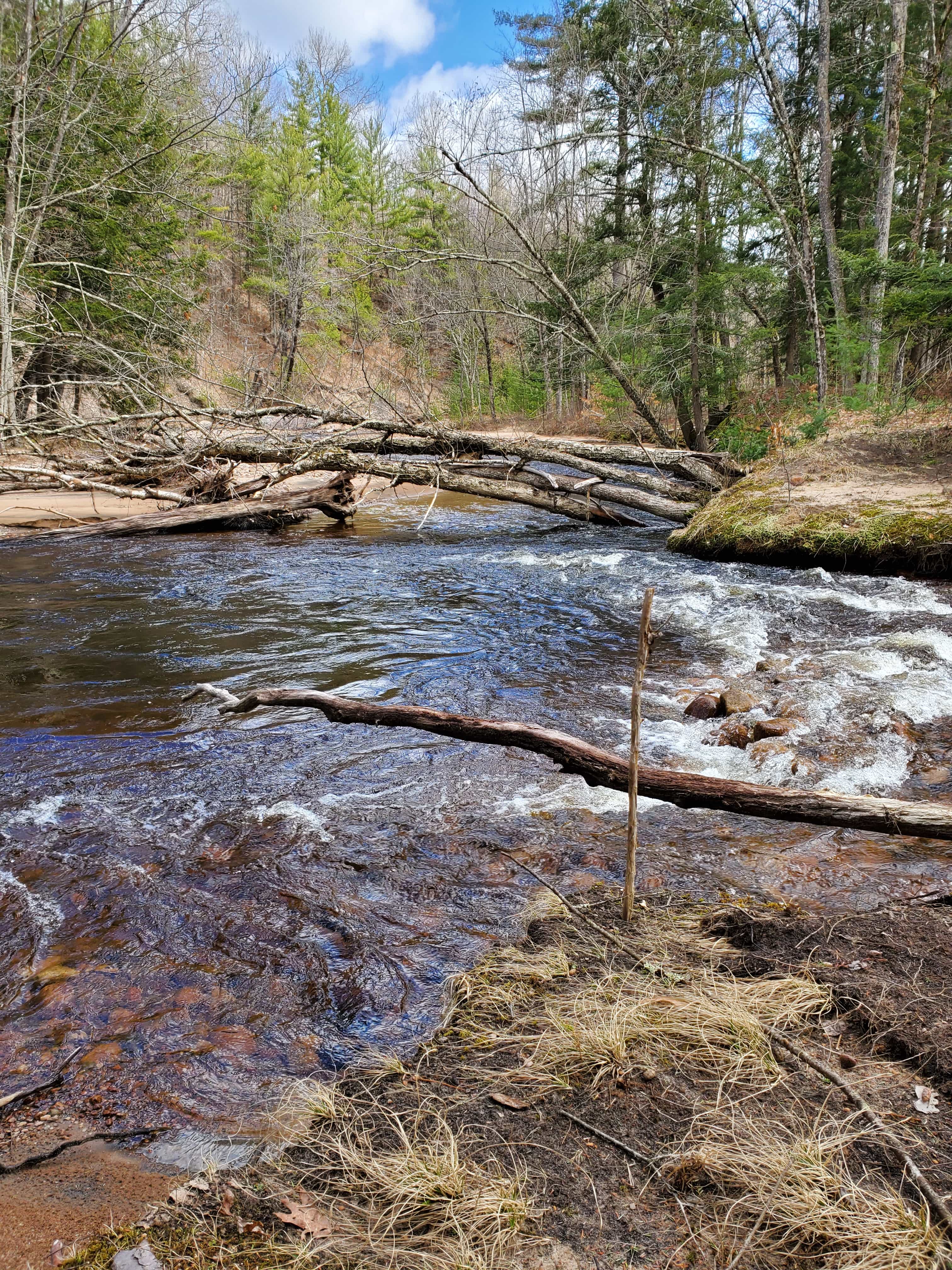 Little brookie lodge