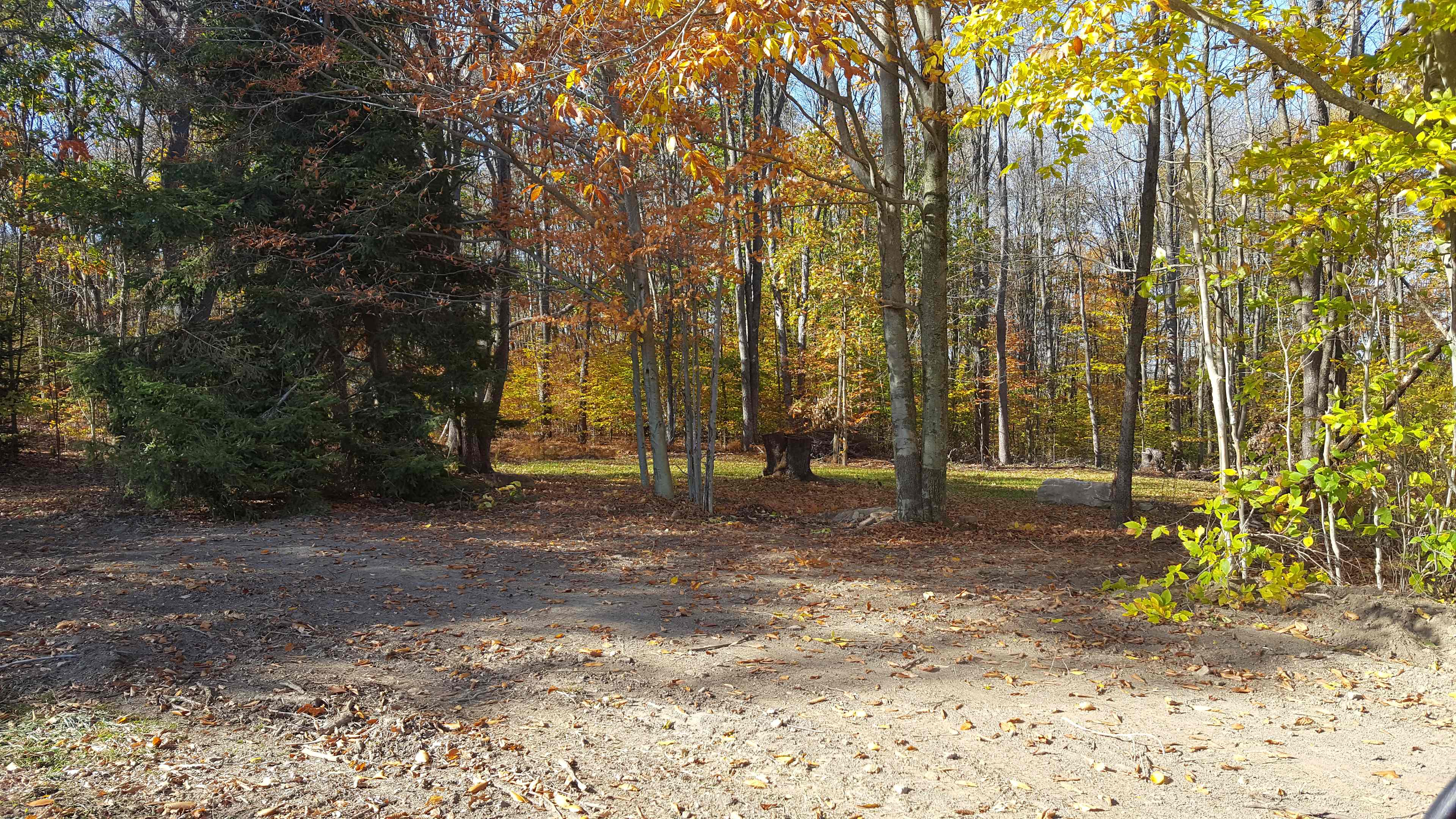 Site 2