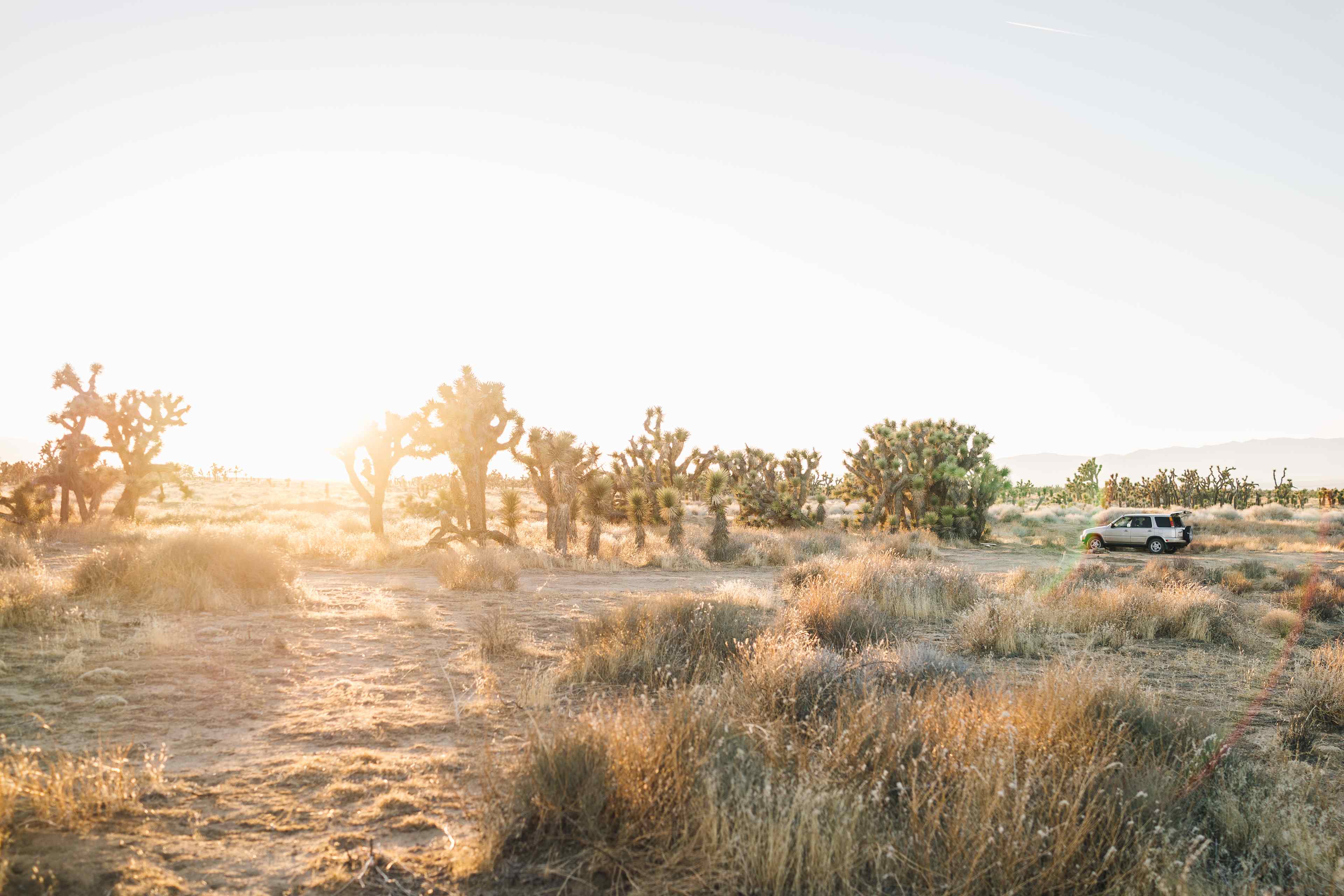 Getting to camp just before sunset