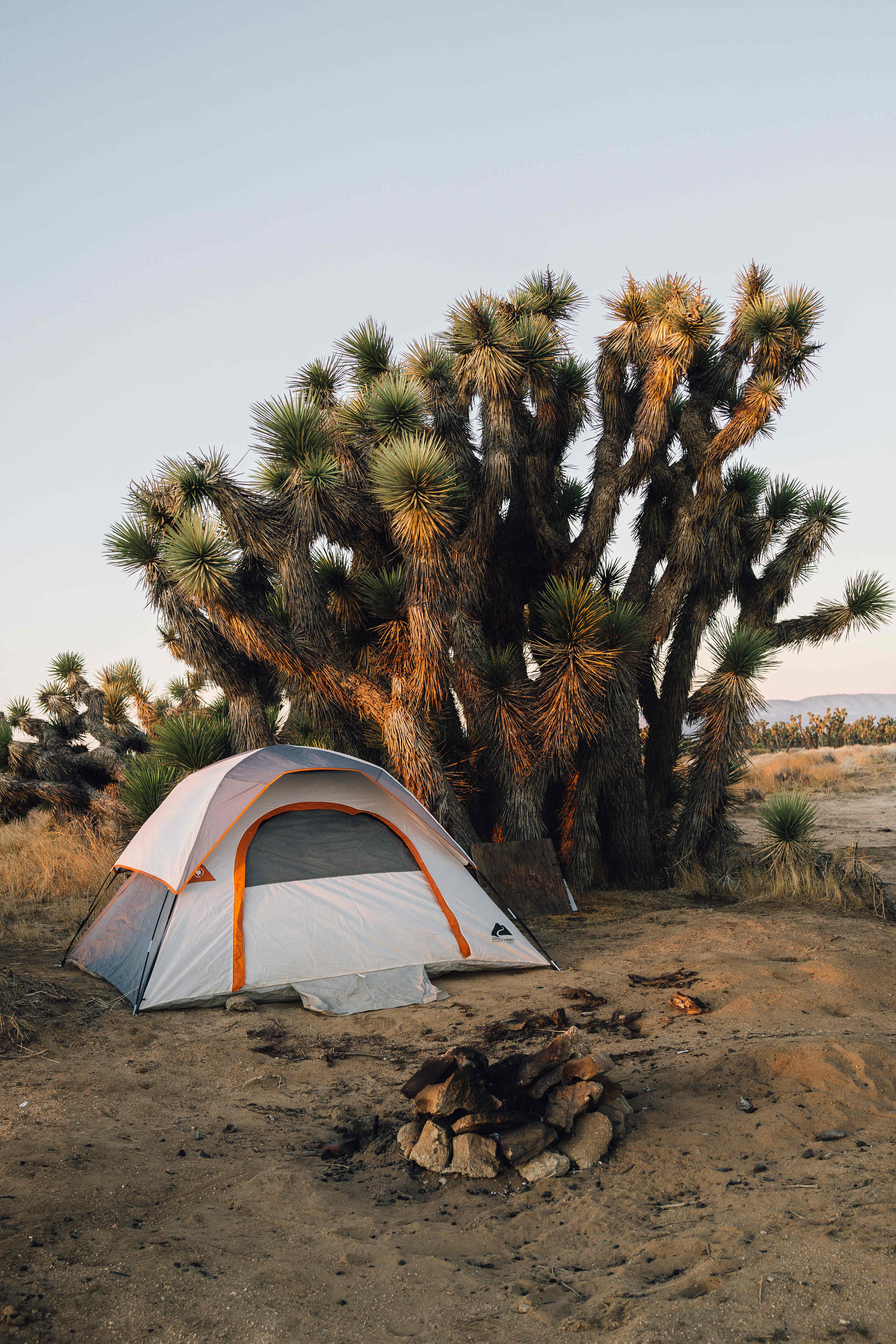 tent set up
