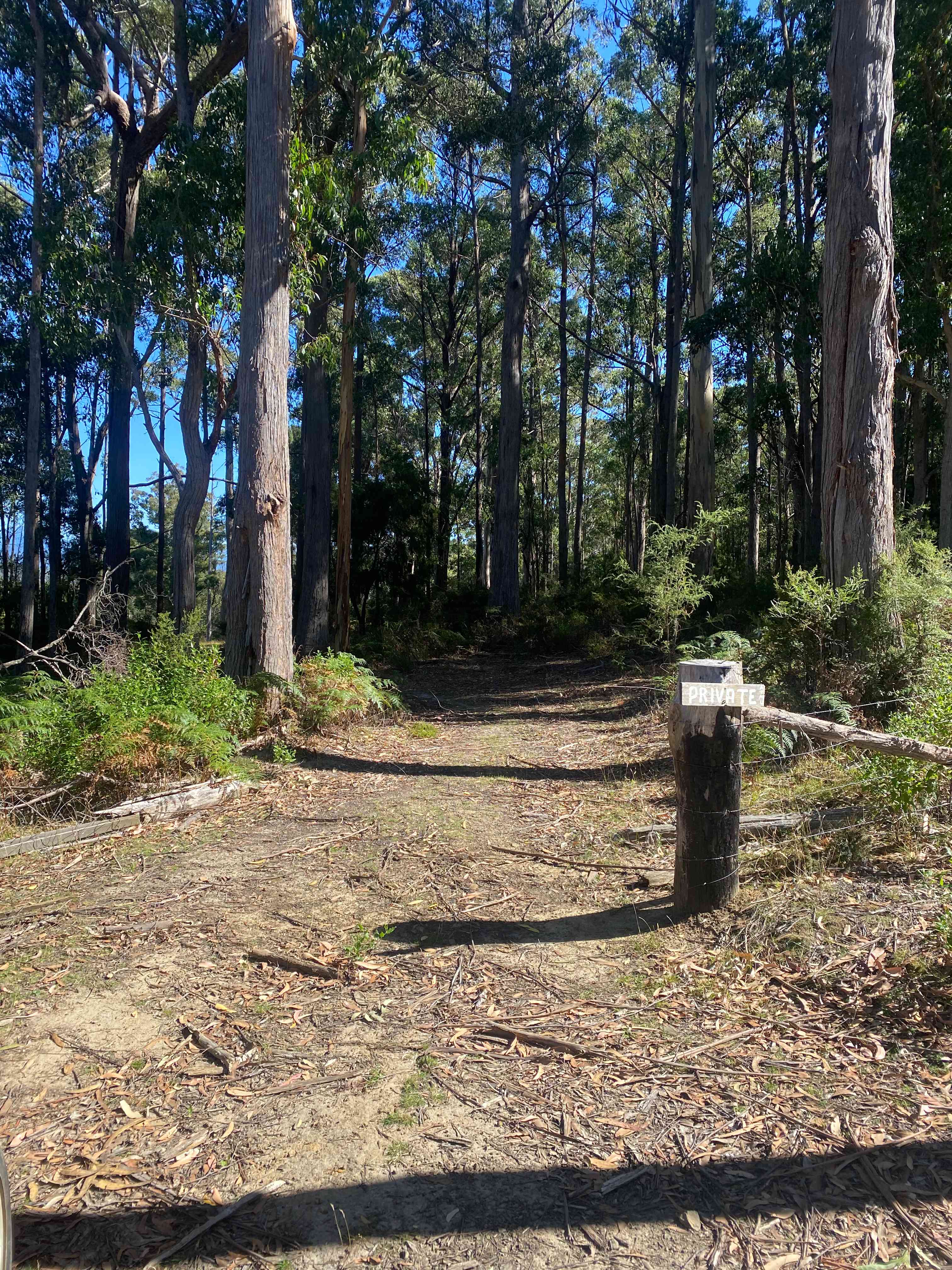 Bruny Island Bush Camp