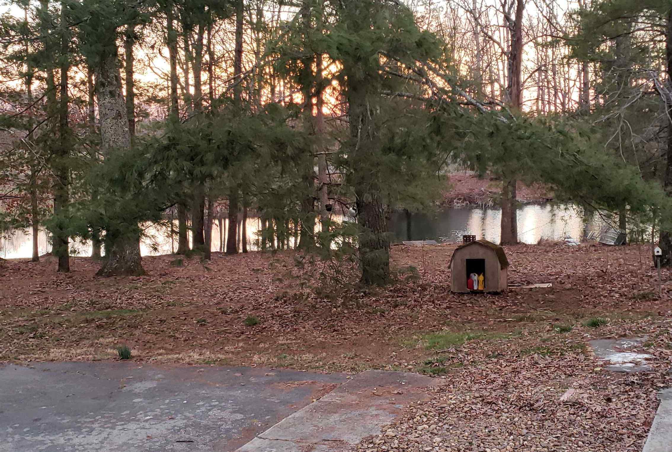 Trees or open camping