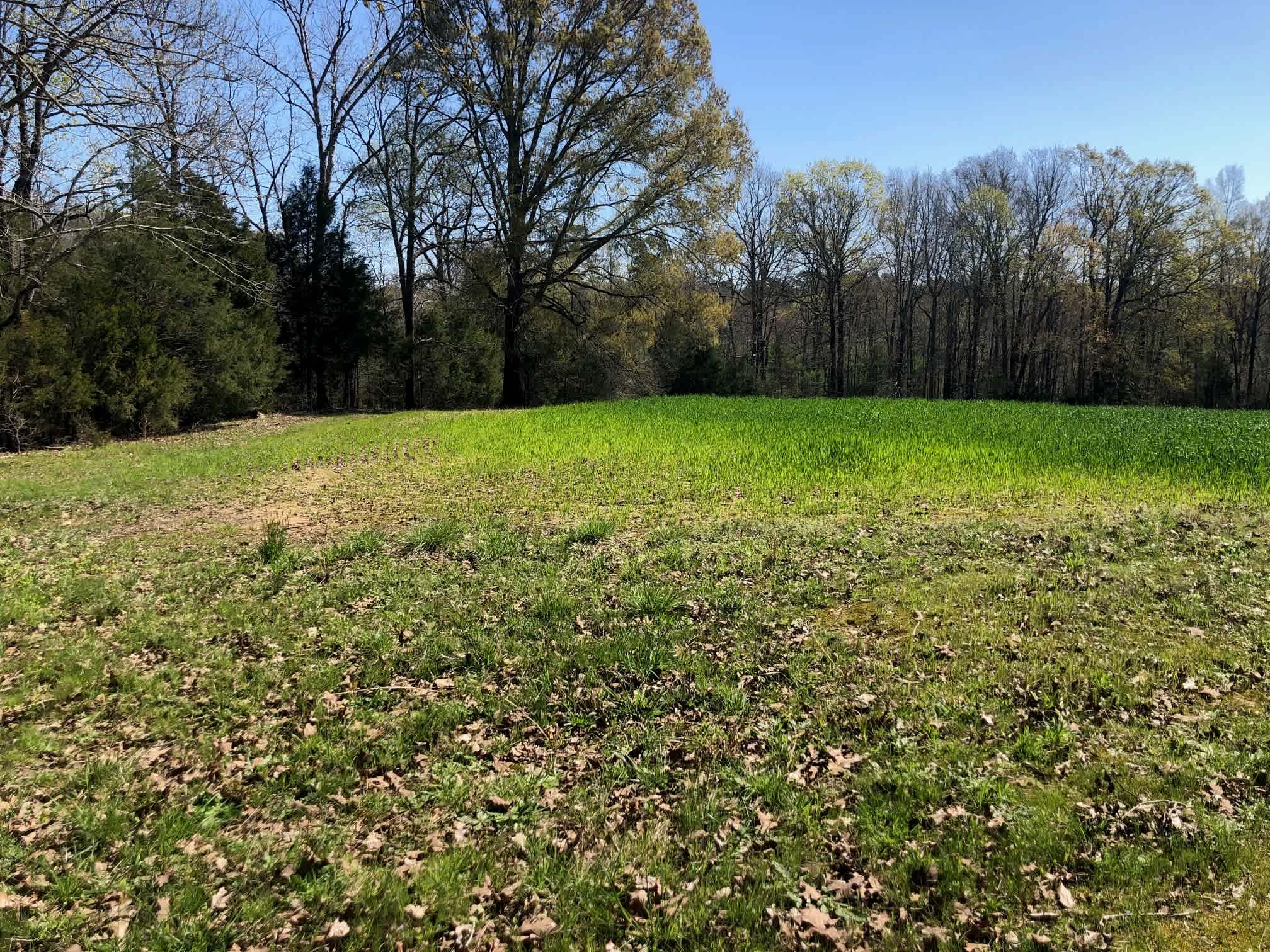 Total Isolation - South 40 Acre Lot